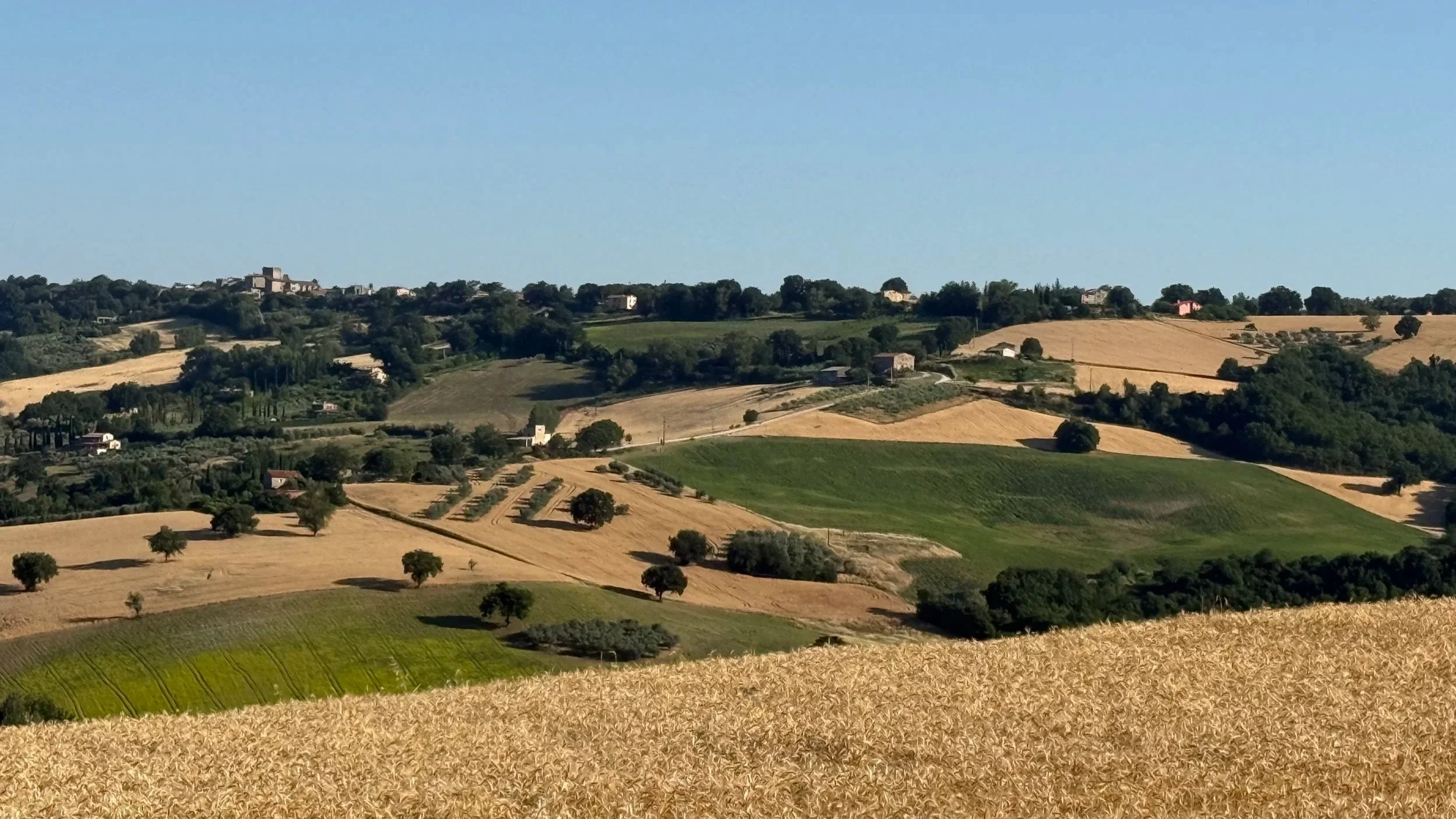 A scenic landscape of rolling hills with patchwork fields, trees, and a few small buildings under a clear blue sky.