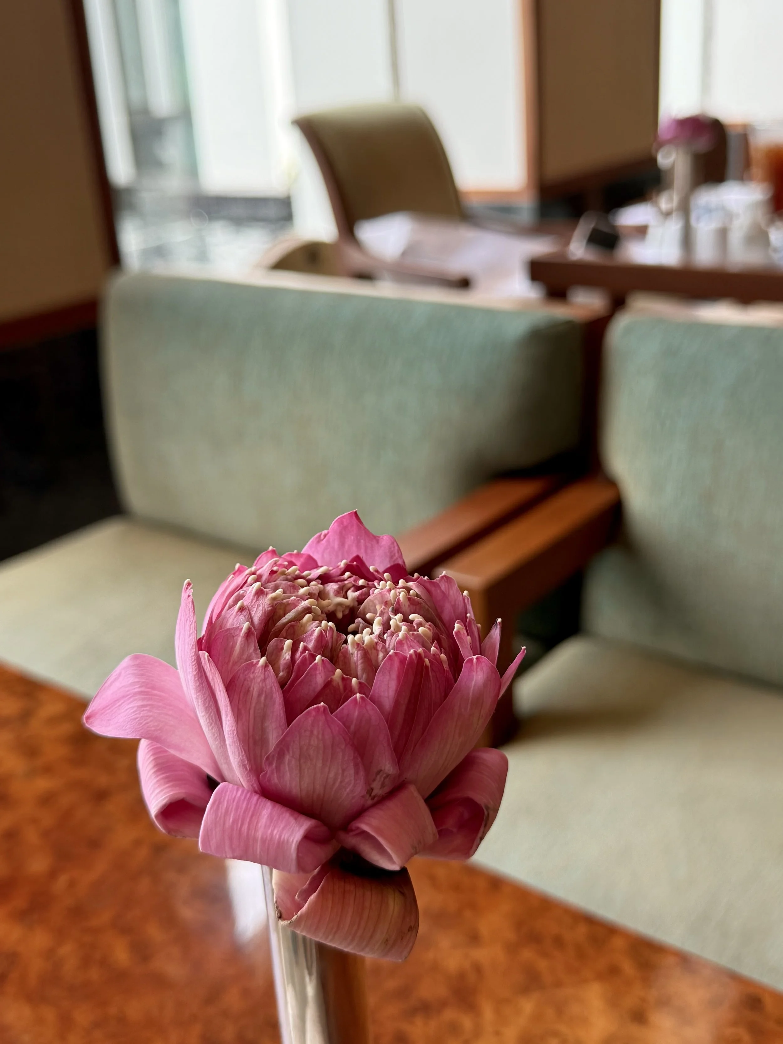 A folded pink lotus in a slim vase stands on a wooden breakfast table before pale green upholstered chairs.
