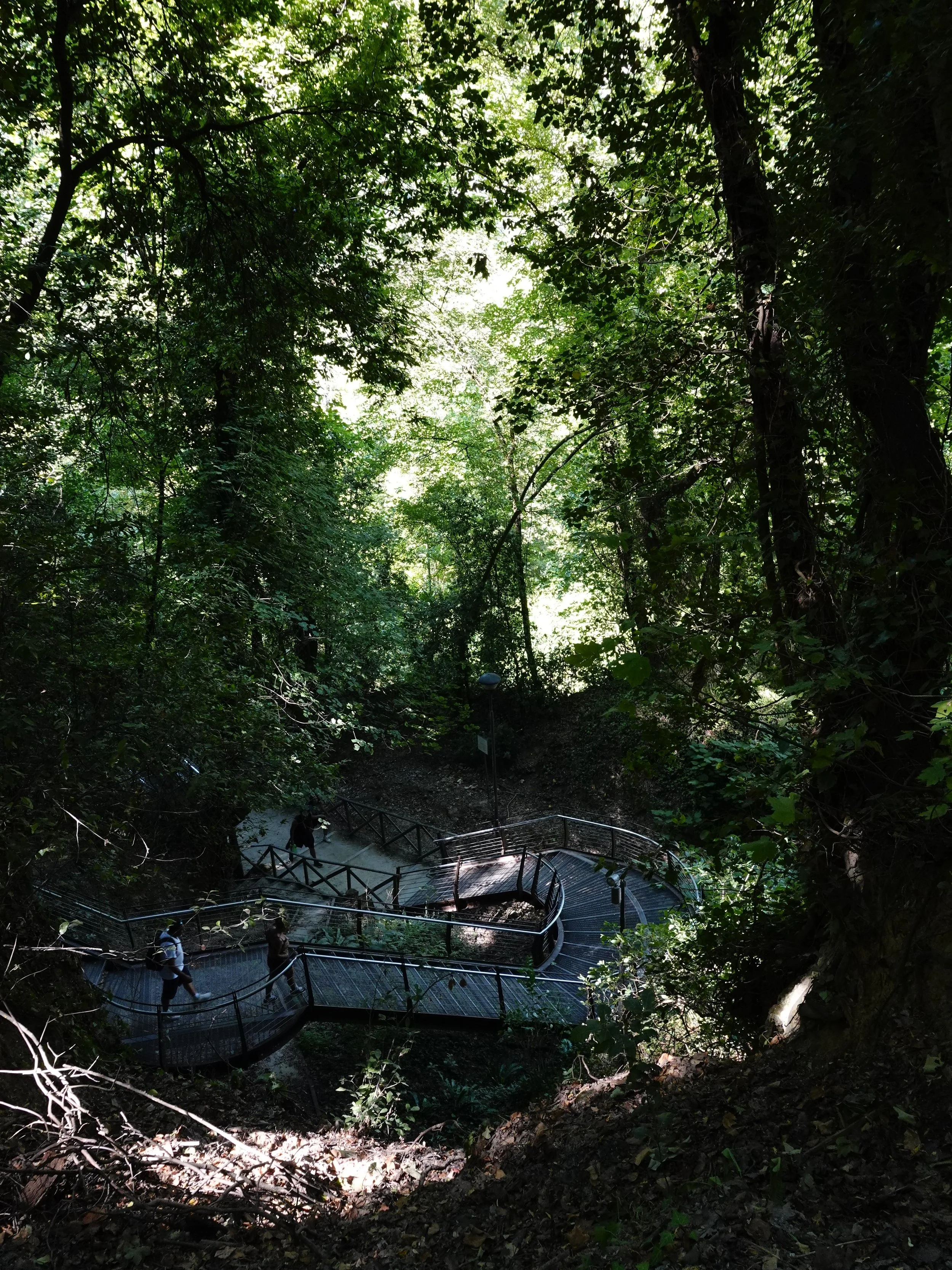 A deep\-green, shaded section of Trail 1: metal switchback stairs and platforms spiral down through the forest, with one visitor providing scale.