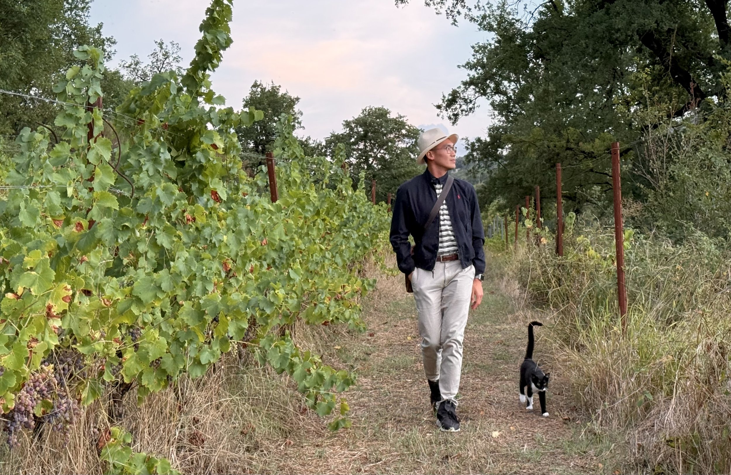 JJ Wong walking between vineyard rows at dusk beside a black-and-white cat.