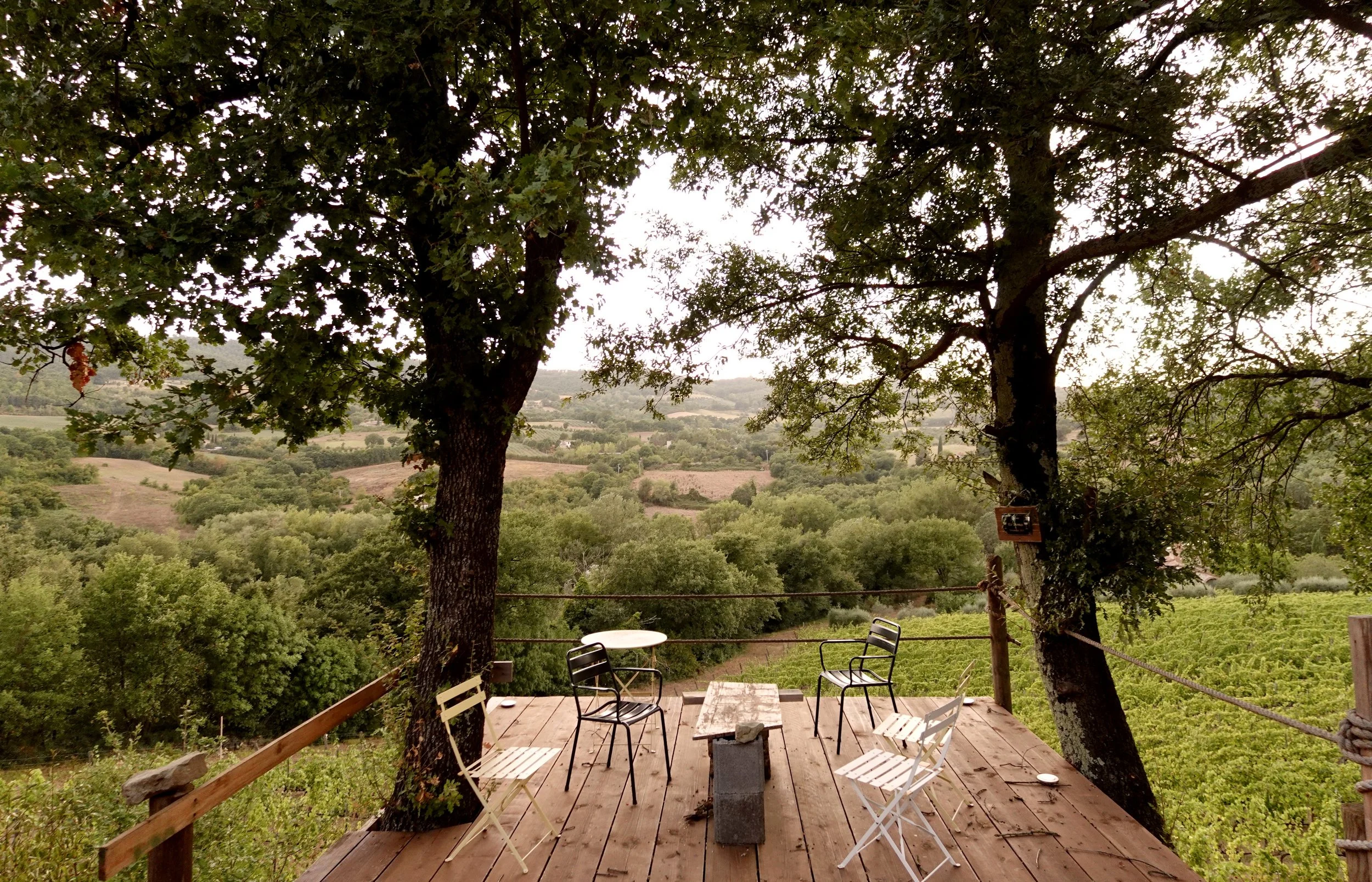 Simple wooden terrace with mismatched chairs and tables set between two oak trees overlooking the vineyard and valley.