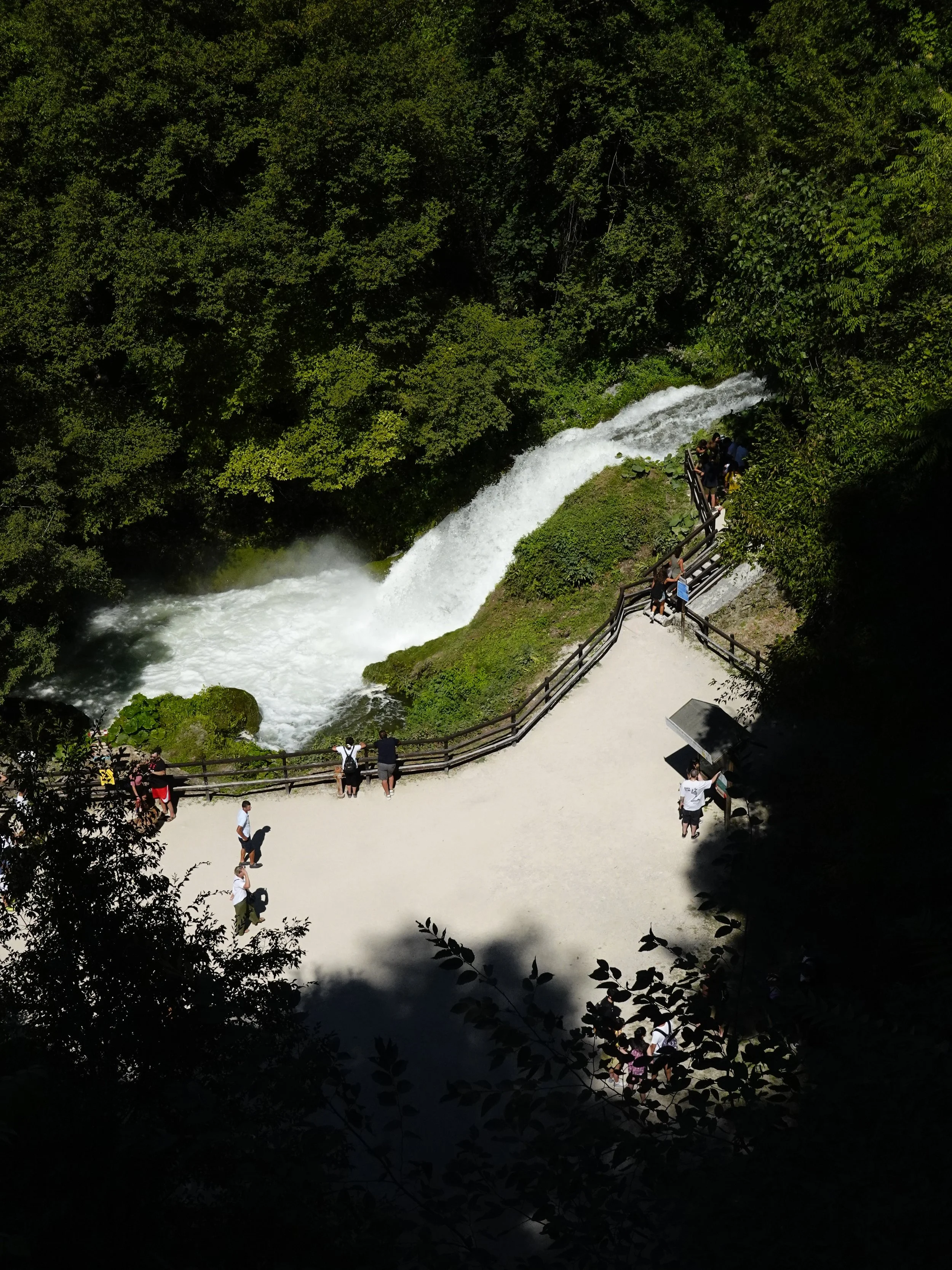 High-angle view through dark foliage onto a pale viewing area beside forceful water. Small groups of visitors stand at the railings and cross the open space below.