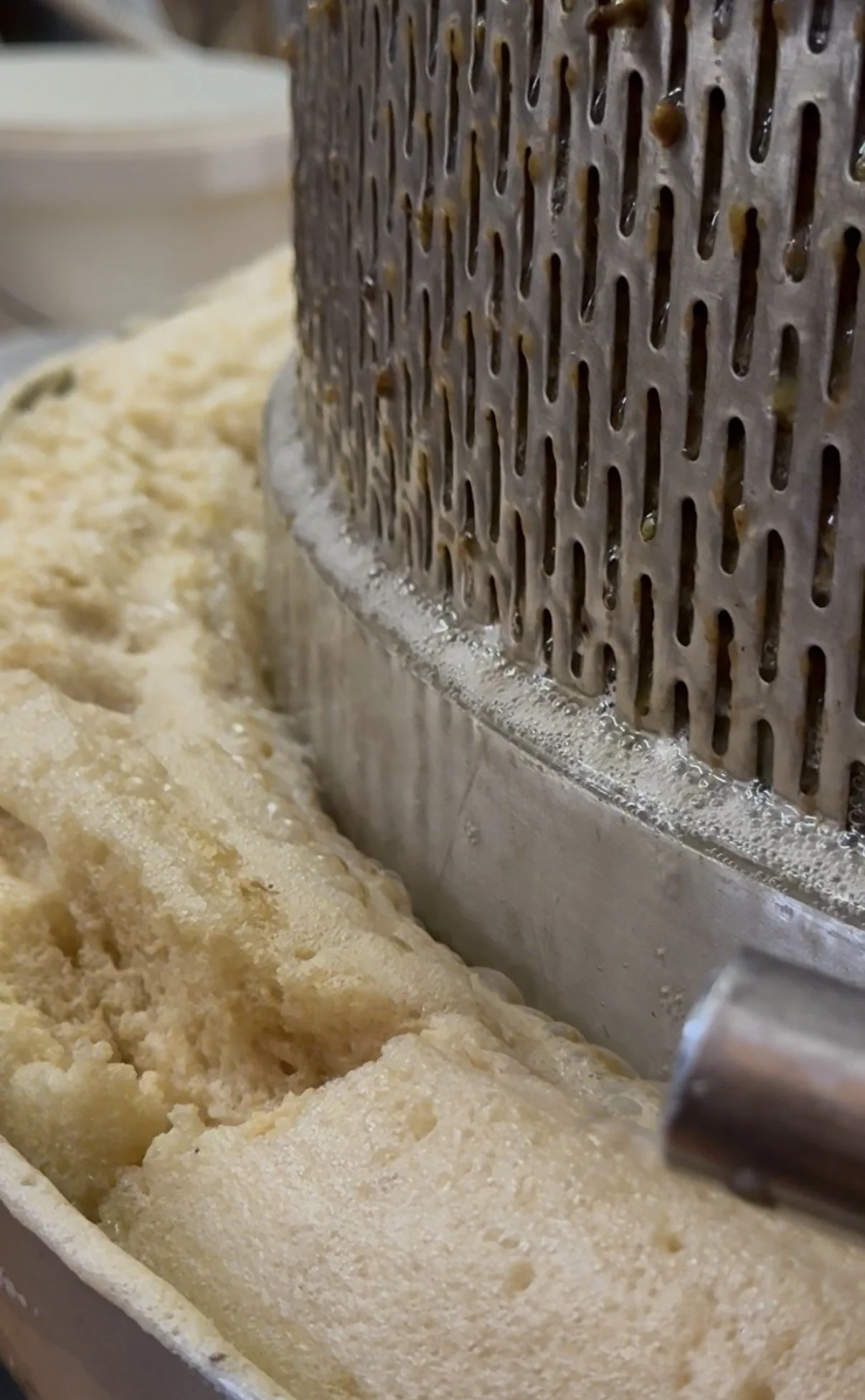 Foamy pale grape must flowing around the perforated metal basket of a wine press.