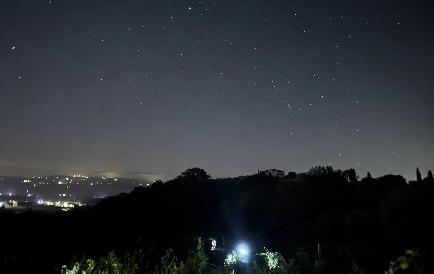 Star-filled pre-dawn sky above dark vineyard rows illuminated by harvesters’ headlamps near Todi.