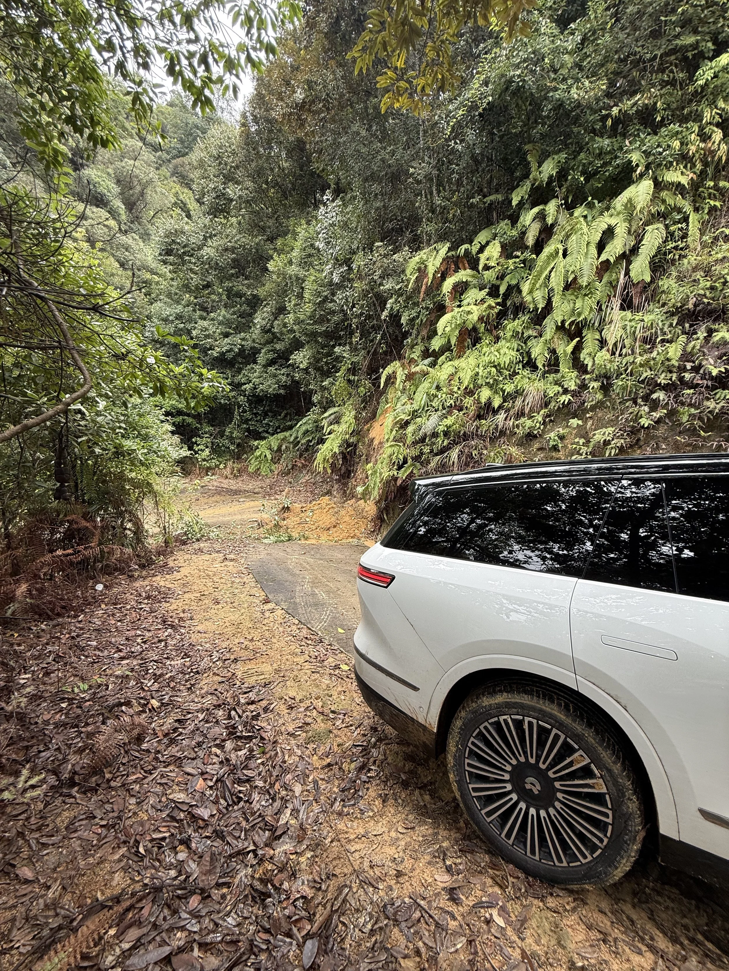 A white car stopped on a narrow forest road where mud and earth from a landslide block the route after severe rainfall.