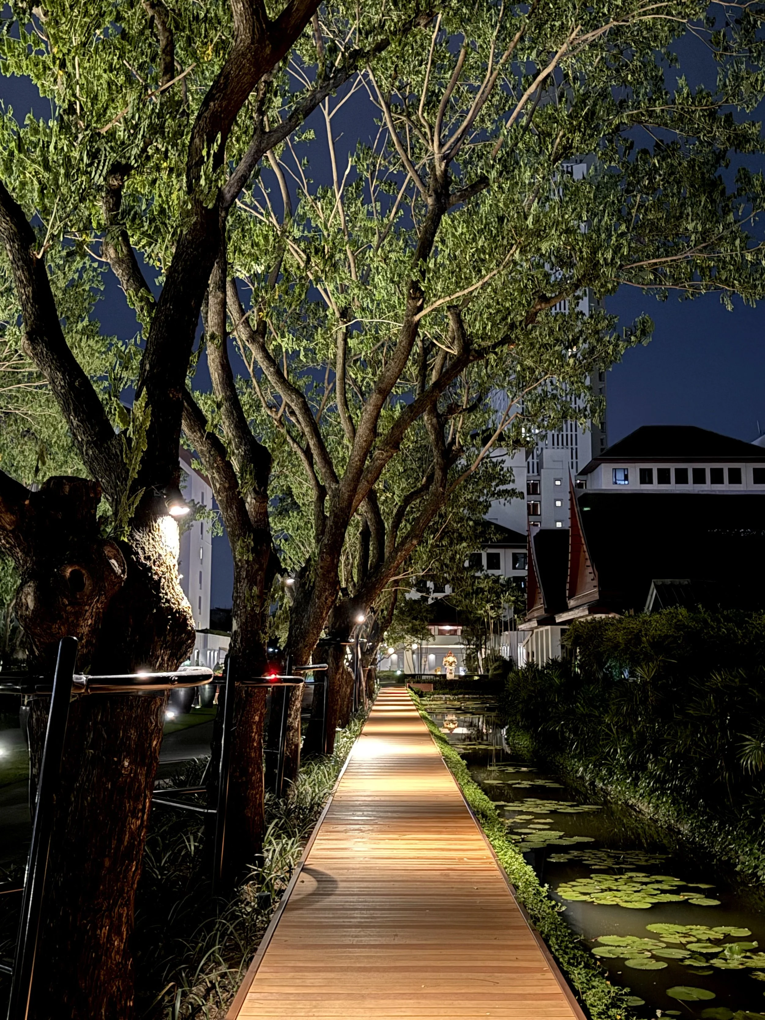 A warmly illuminated timber walkway runs beneath trees beside a lily pond at The Sukhothai Bangkok at night.