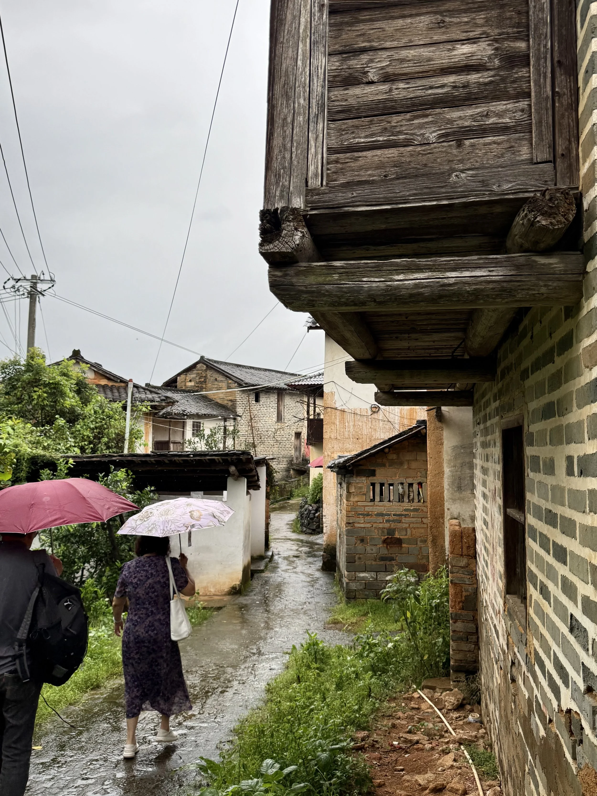 Members of the family, seen from behind beneath umbrellas, walking along a rain-soaked lane in Anle Village towards the author’s grandfather’s former home.