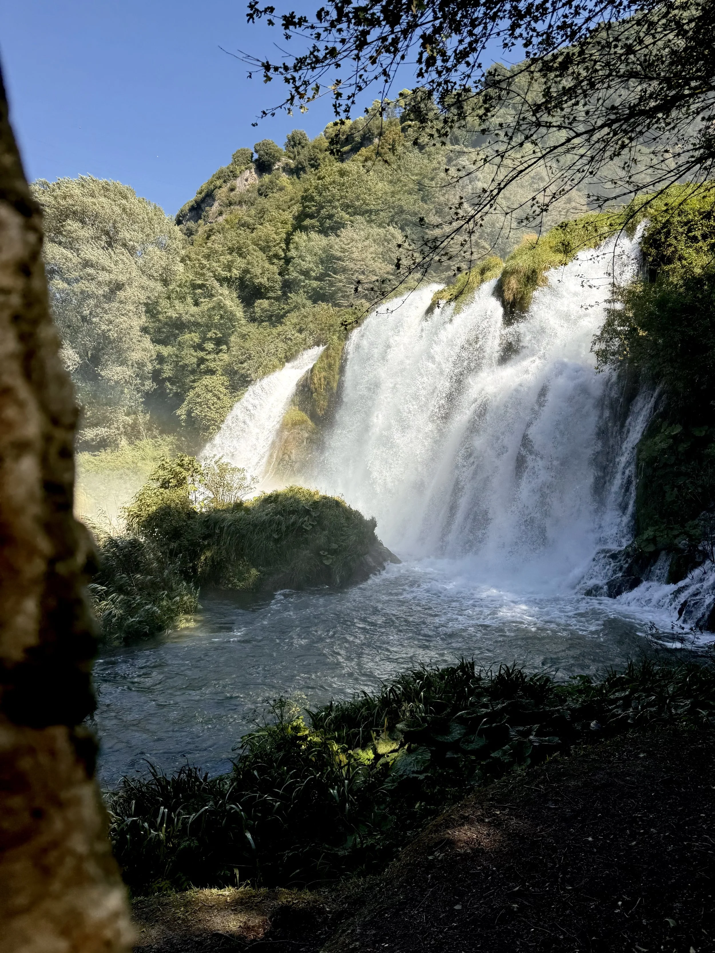 A close view of water breaking over several forested ledges, with heavy spray in the air, a shaded pool below and a tree trunk framing the left edge.