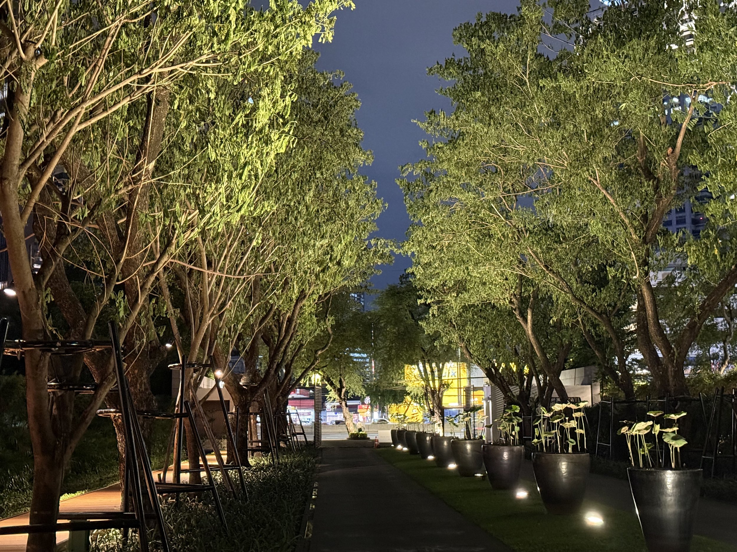 Trees and illuminated planters line the approach to The Sukhothai Bangkok, with the street visible in the distance.