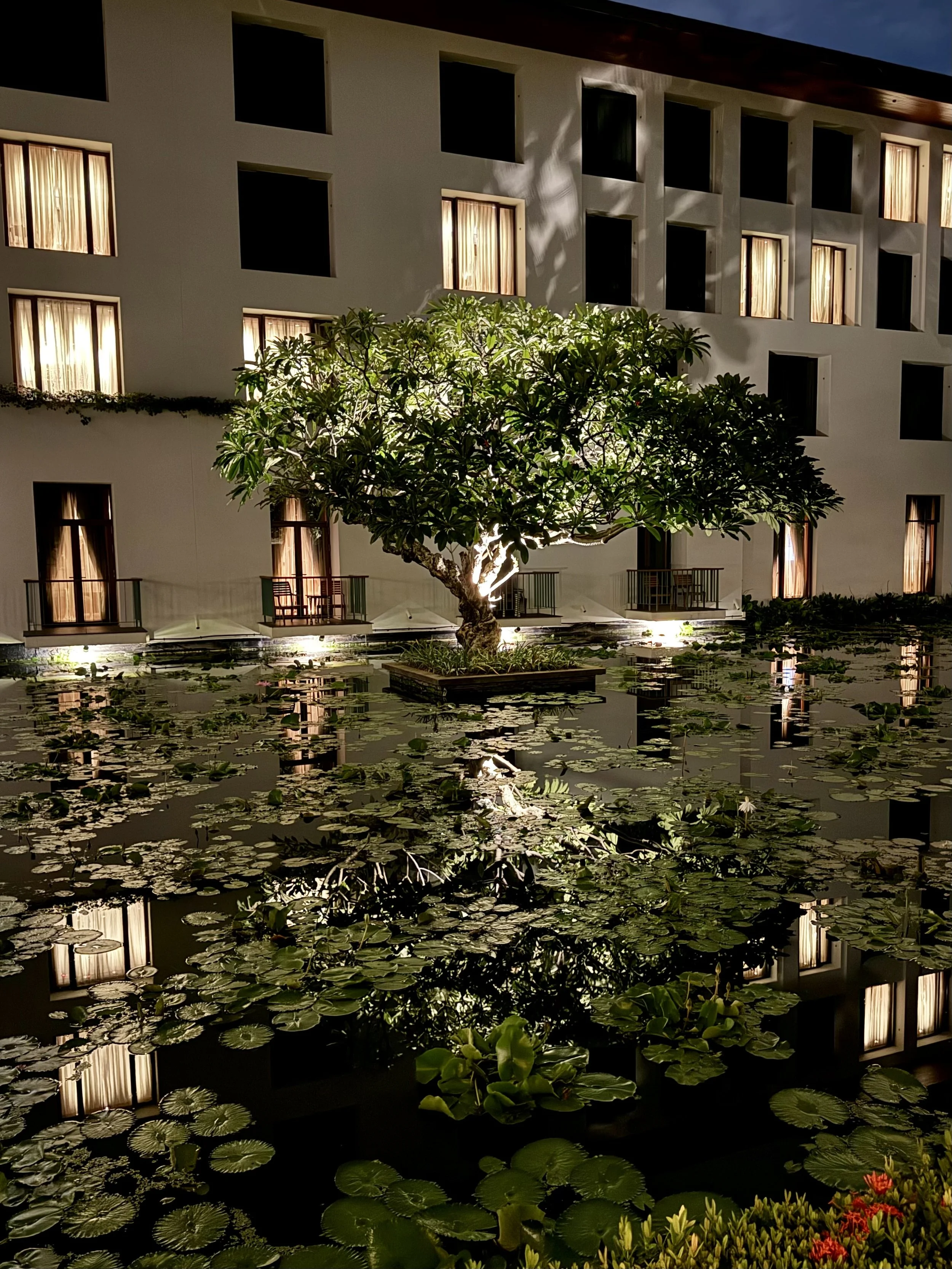 An illuminated courtyard tree and glowing hotel windows reflect in a lily pond at The Sukhothai Bangkok at night.