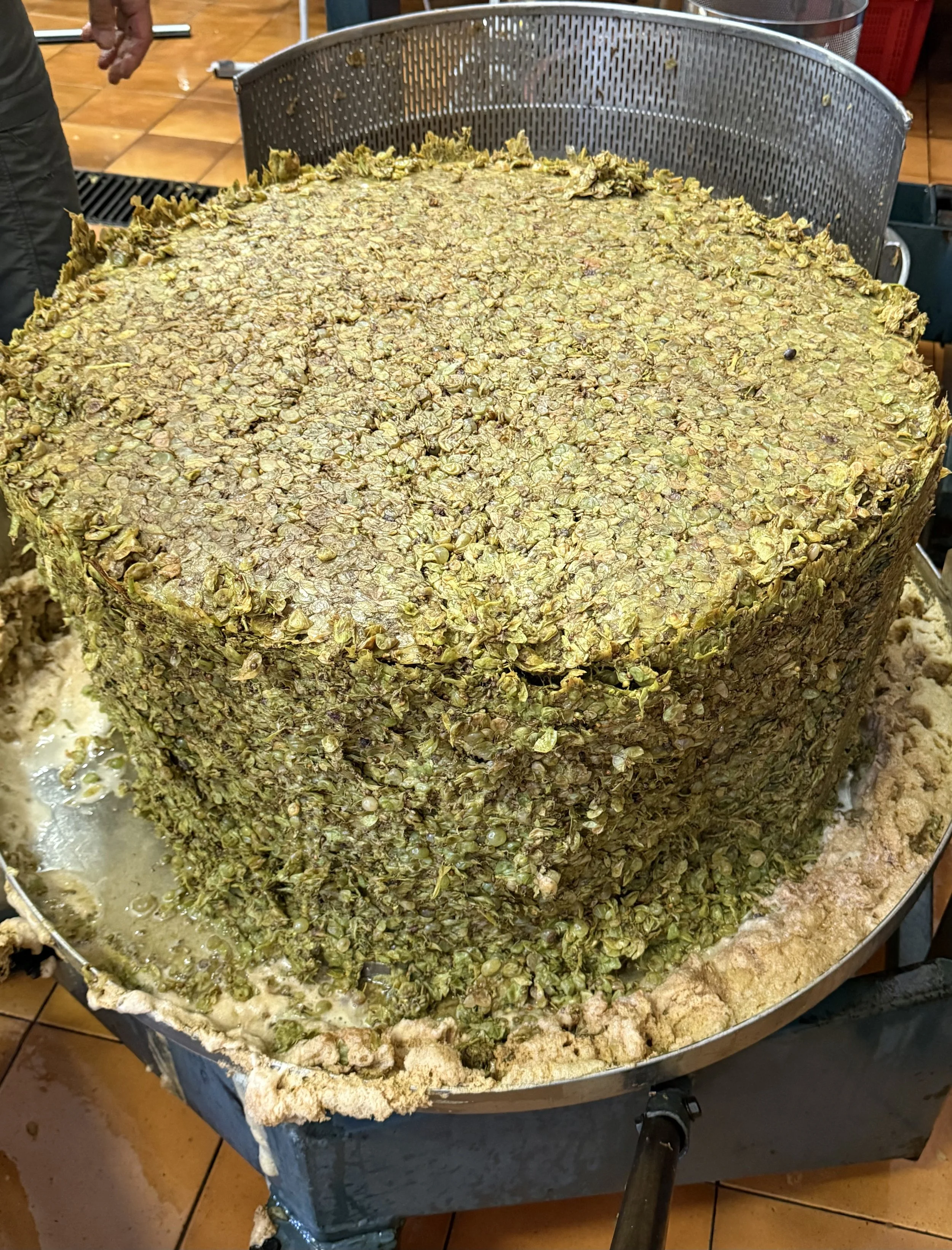 Large cylindrical block of compressed grape skins and pulp resting inside the press.
