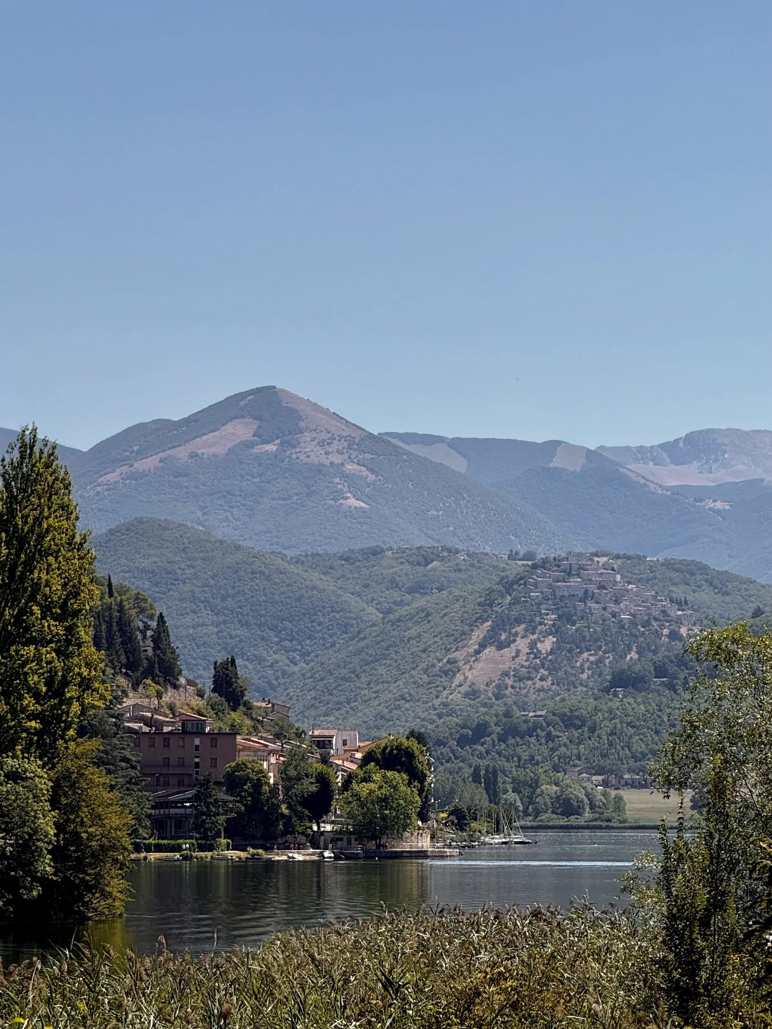 Vertical view framed by a tree canopy: the waterfront village sits to the left, reeds line the foreground, and layers of mountains rise beyond the lake.