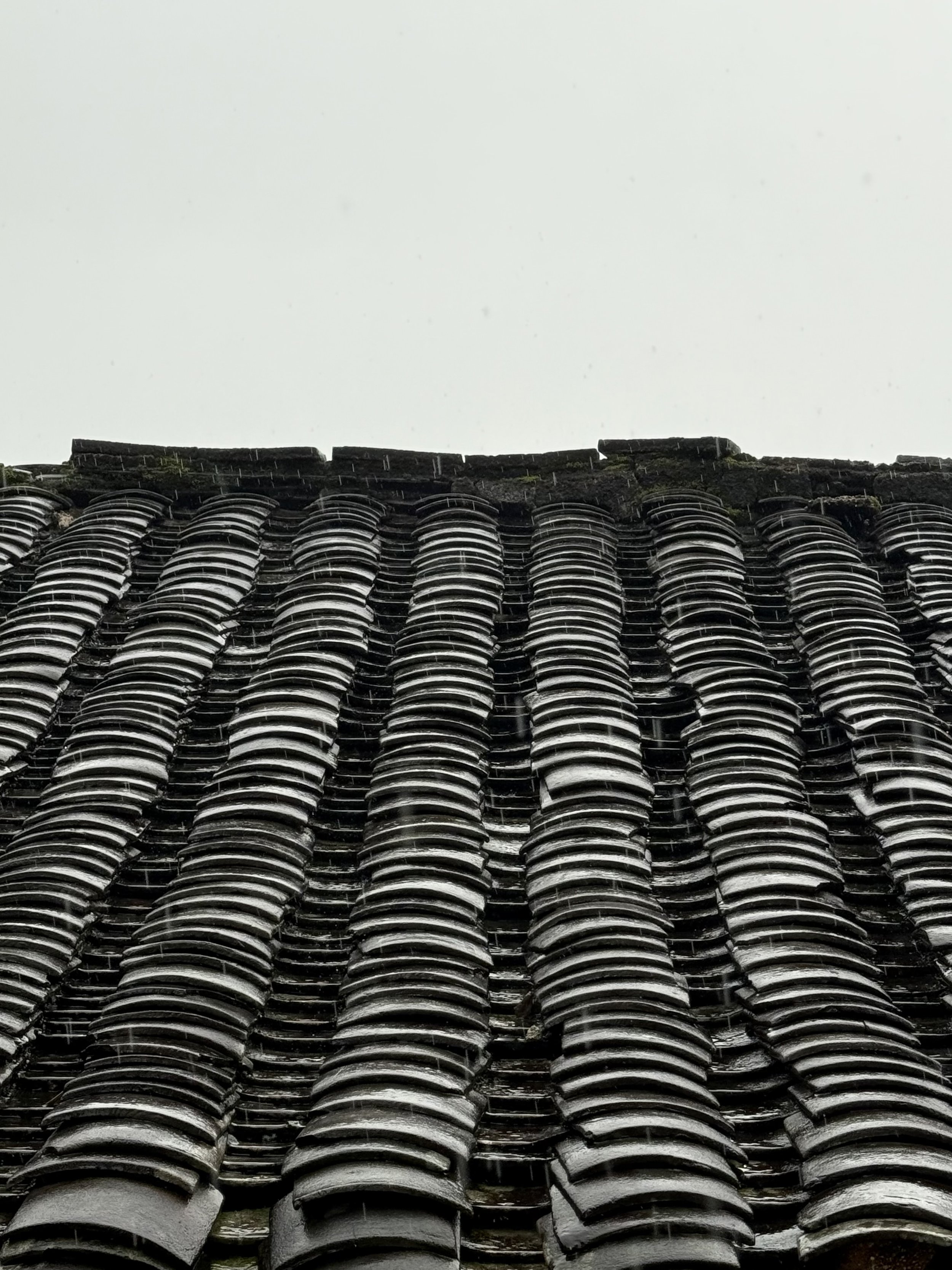 Rows of dark, weathered roof tiles that remain intact above part of the author’s grandfather’s former home.