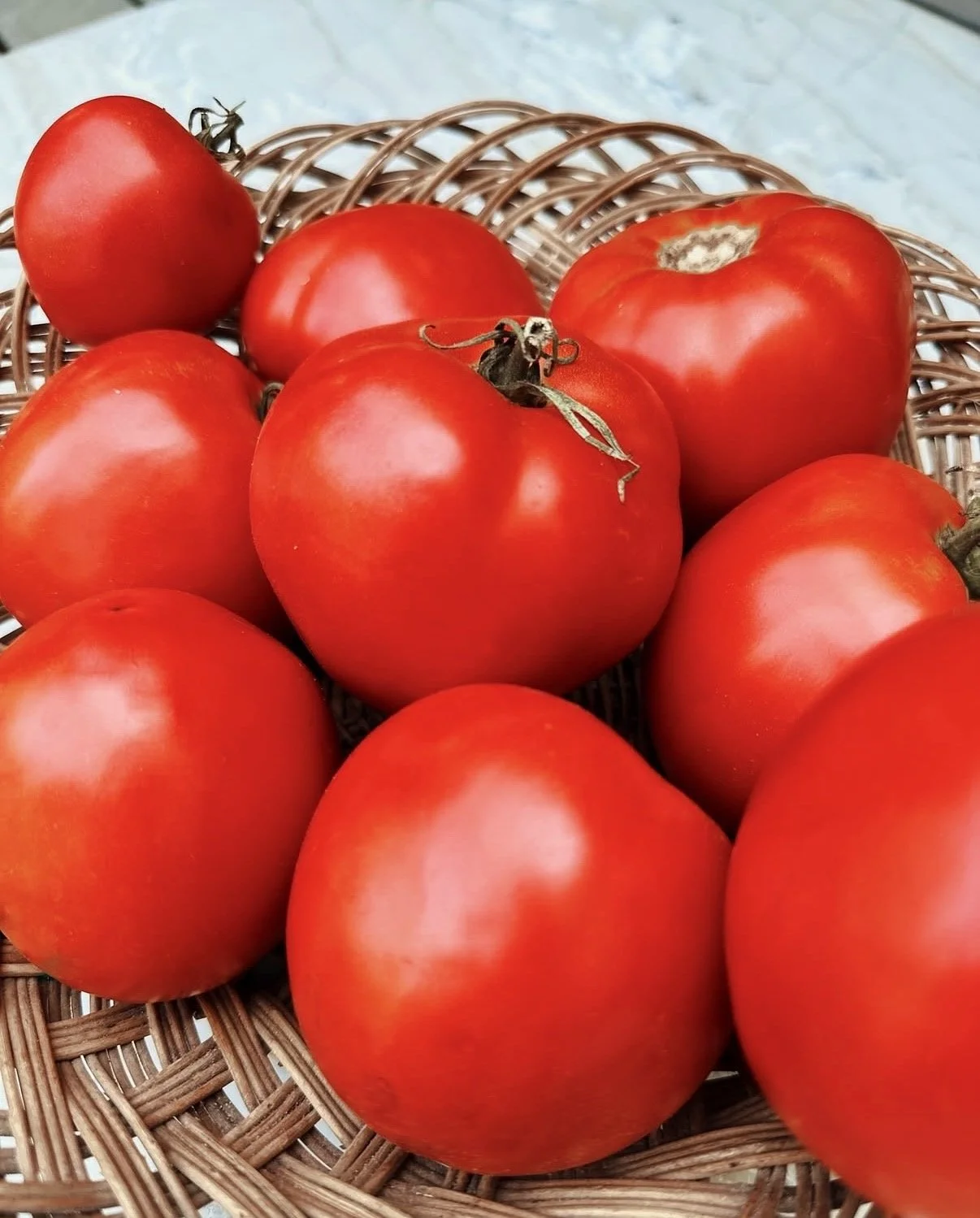 Basket of homegrown tomatoes