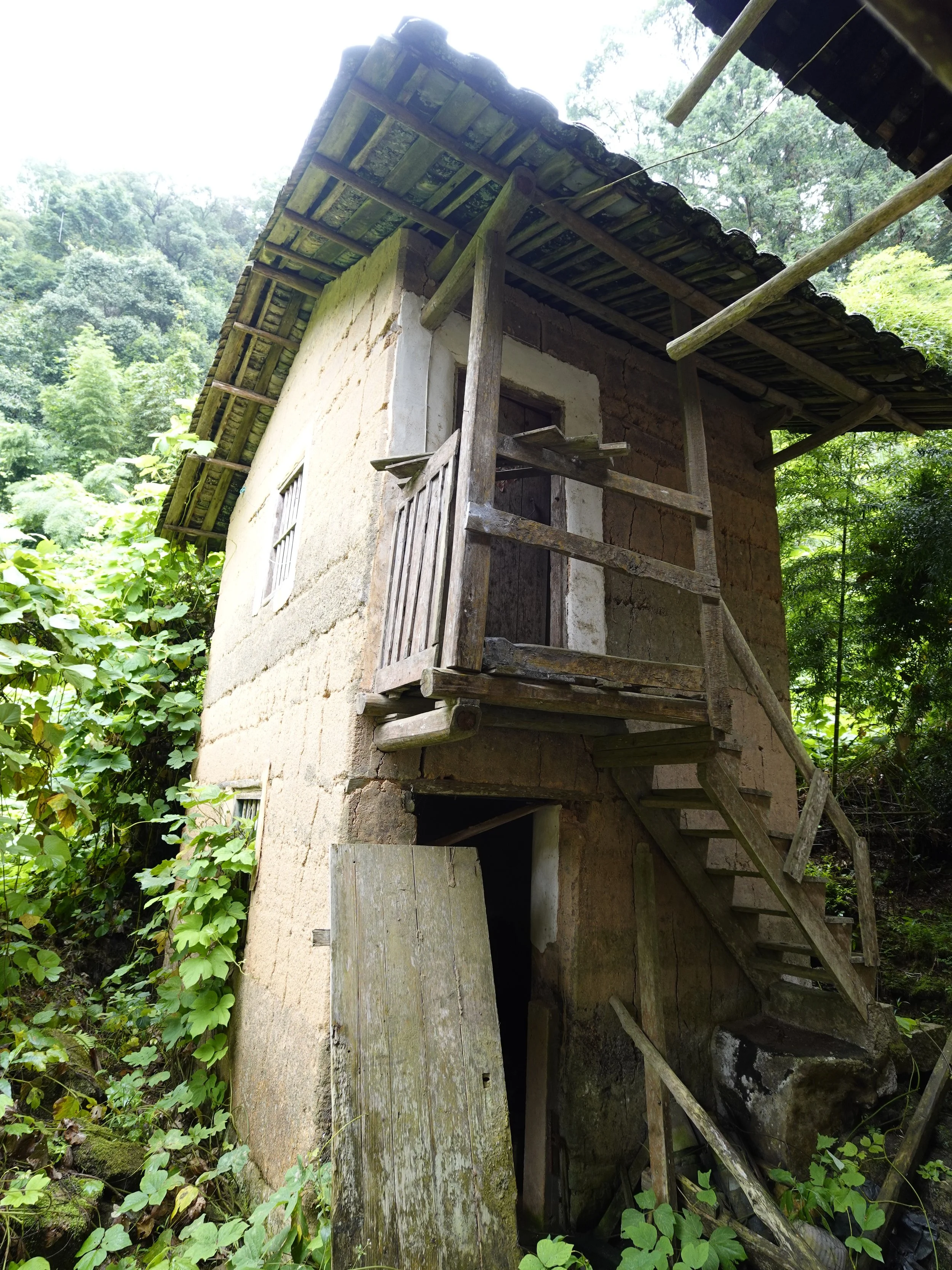 A small timber-and-earth hut built by hand by the relative identified in the article as Cousin Ming, surrounded by dense mountain vegetation.