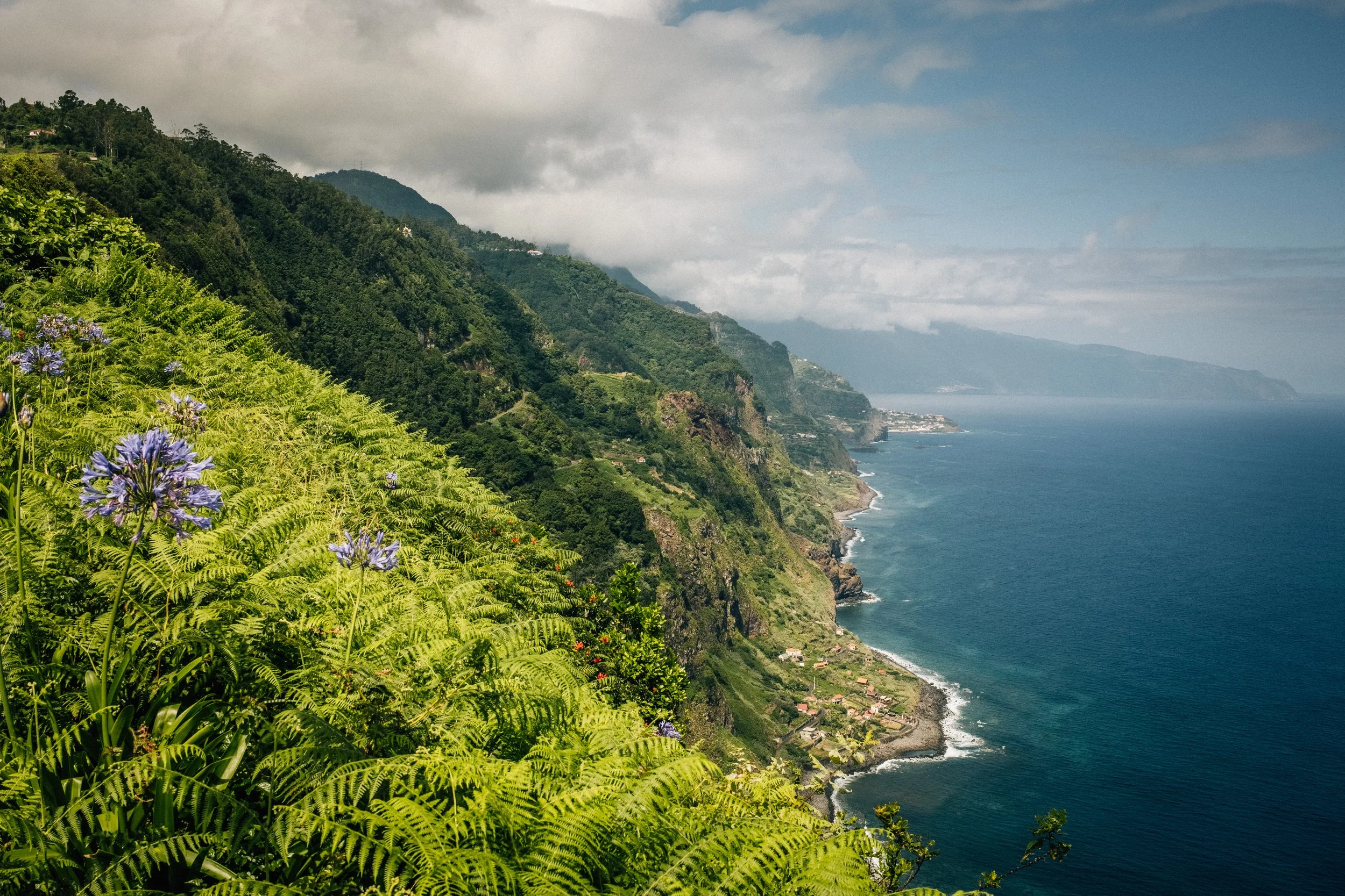 Lush green hillside with purple flowers in the foreground, steep cliffs along the coast, small houses scattered on the hillside, under a partly cloudy sky over the ocean.