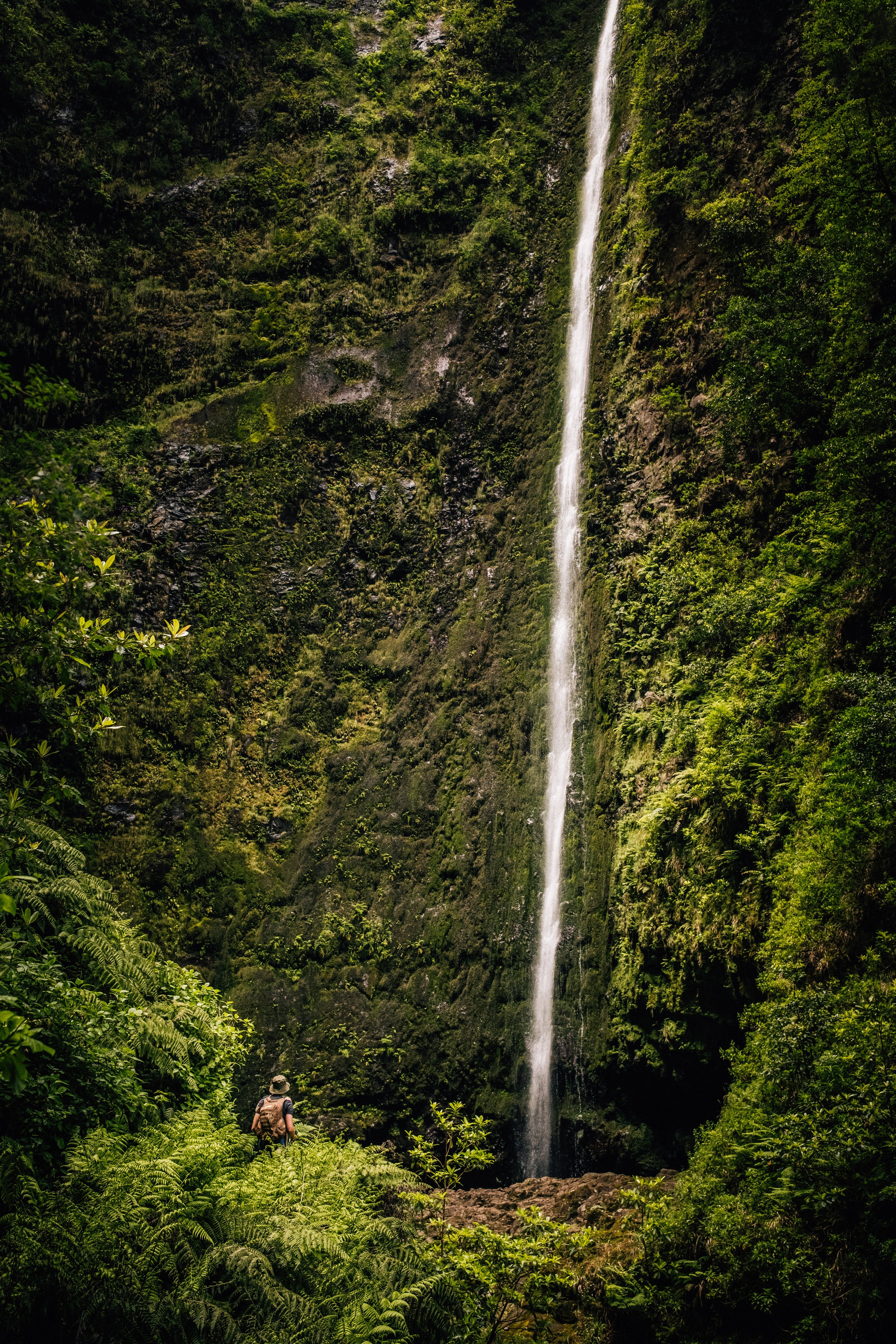 A person standing in front of a tall, narrow waterfall in a lush, green jungle.