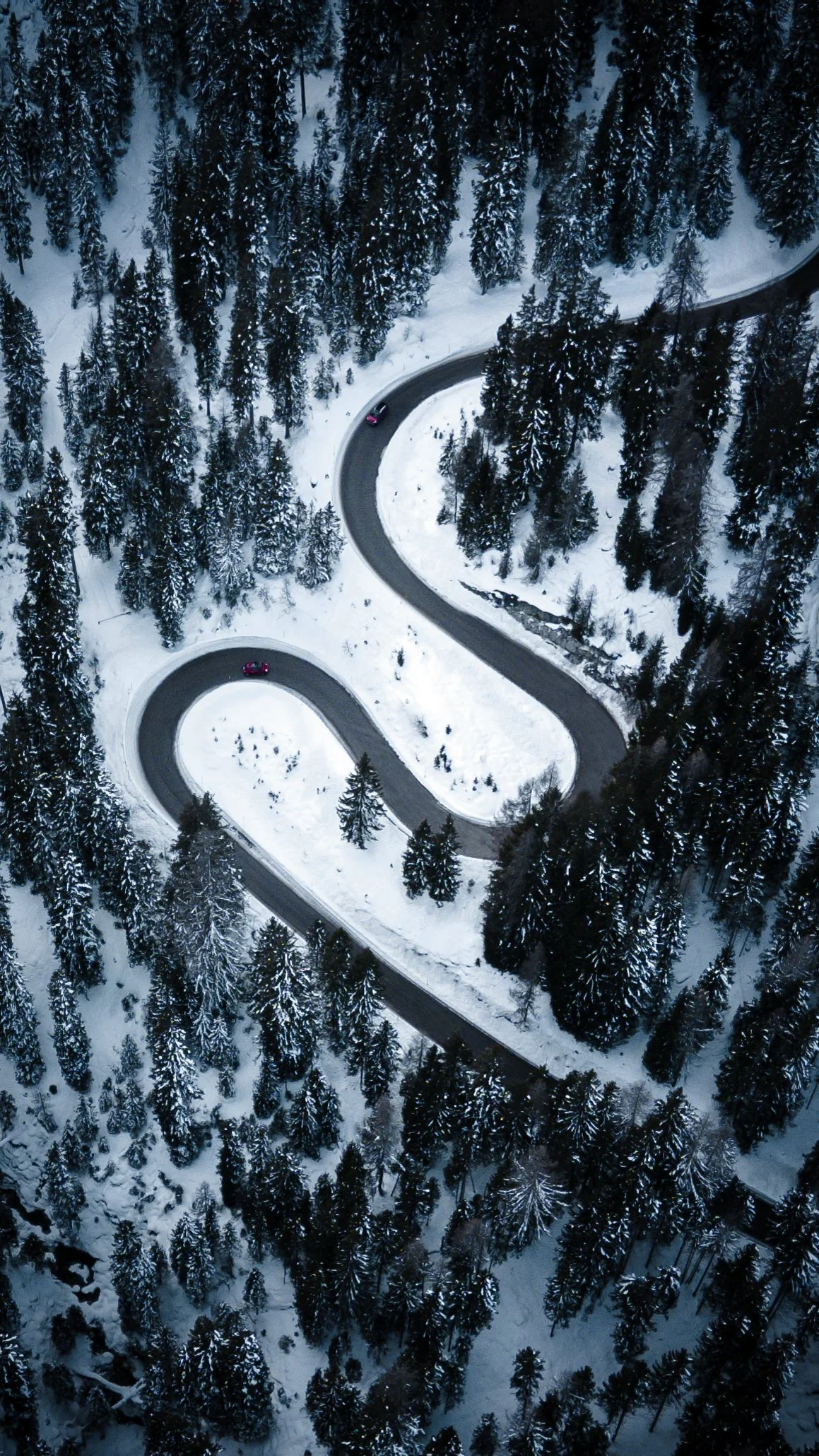 An aerial view of a winding mountain road through a snowy forest with tall evergreen trees.