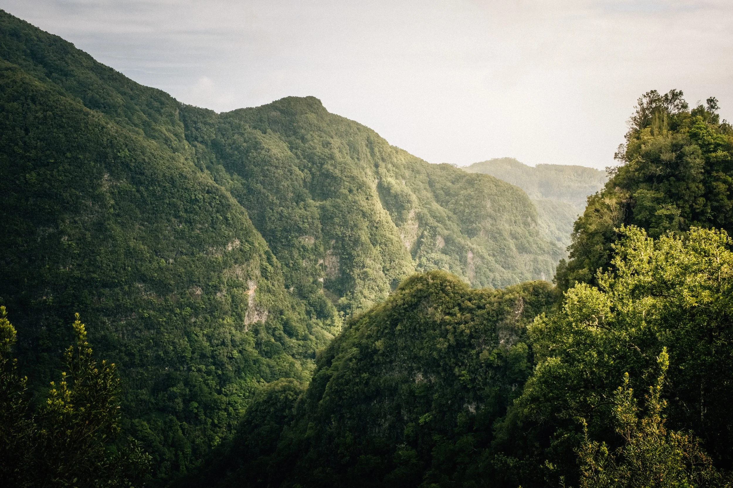 Green forested mountains with lush trees and a hazy valley in the distance.