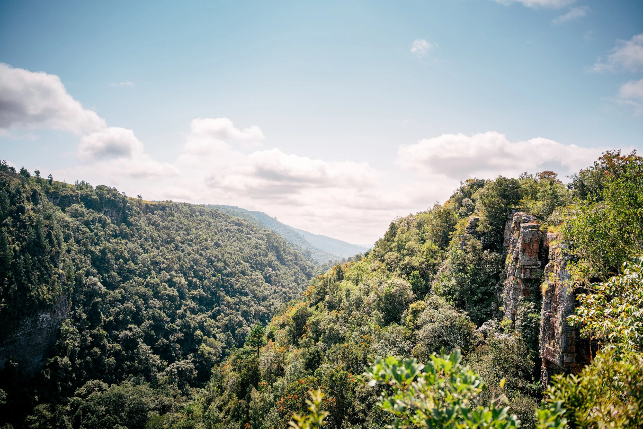 Scenic view of a lush green canyon with dense trees and cliffs under a partly cloudy blue sky.