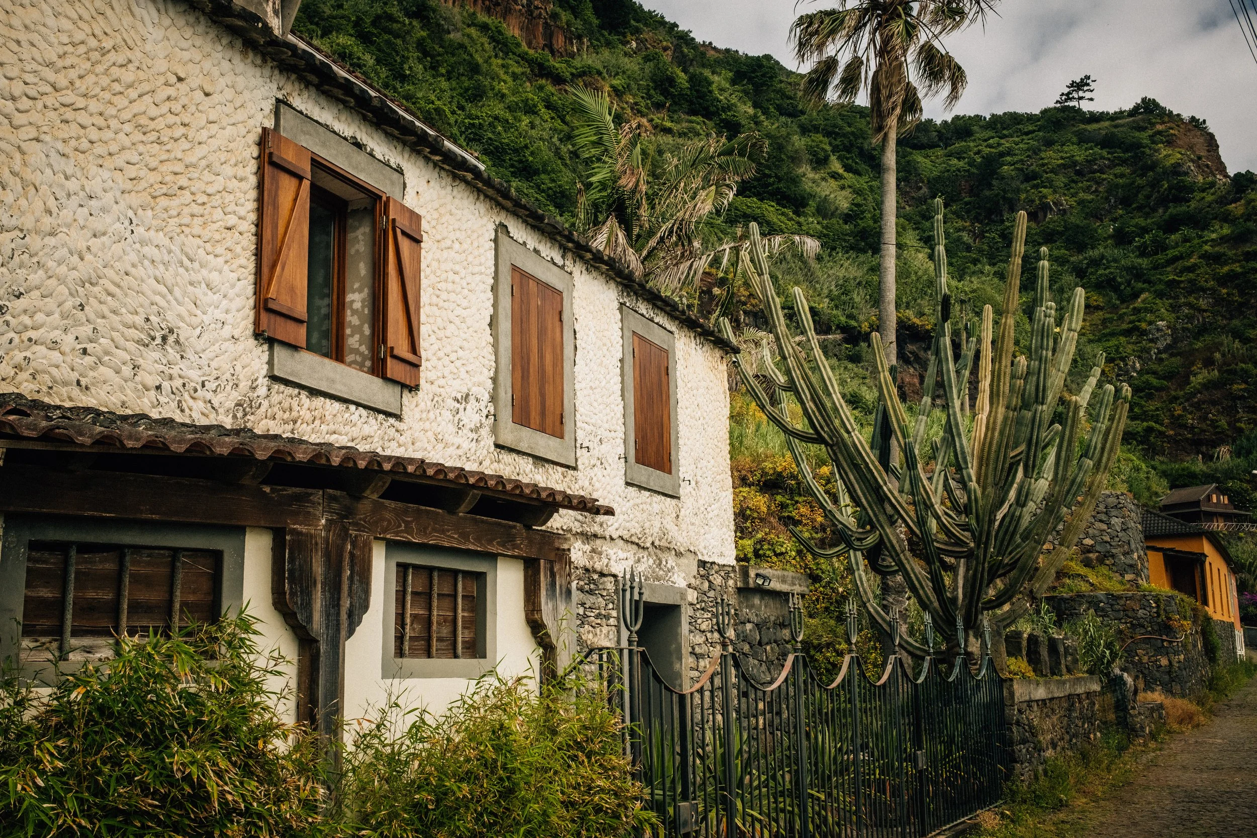 A two-story house with a textured white stucco exterior, wooden window shutters, and a tiled roof. Surrounding the house are lush green plants, including tall cacti and a large palm tree. In the background, there is a hillside covered with dense gree