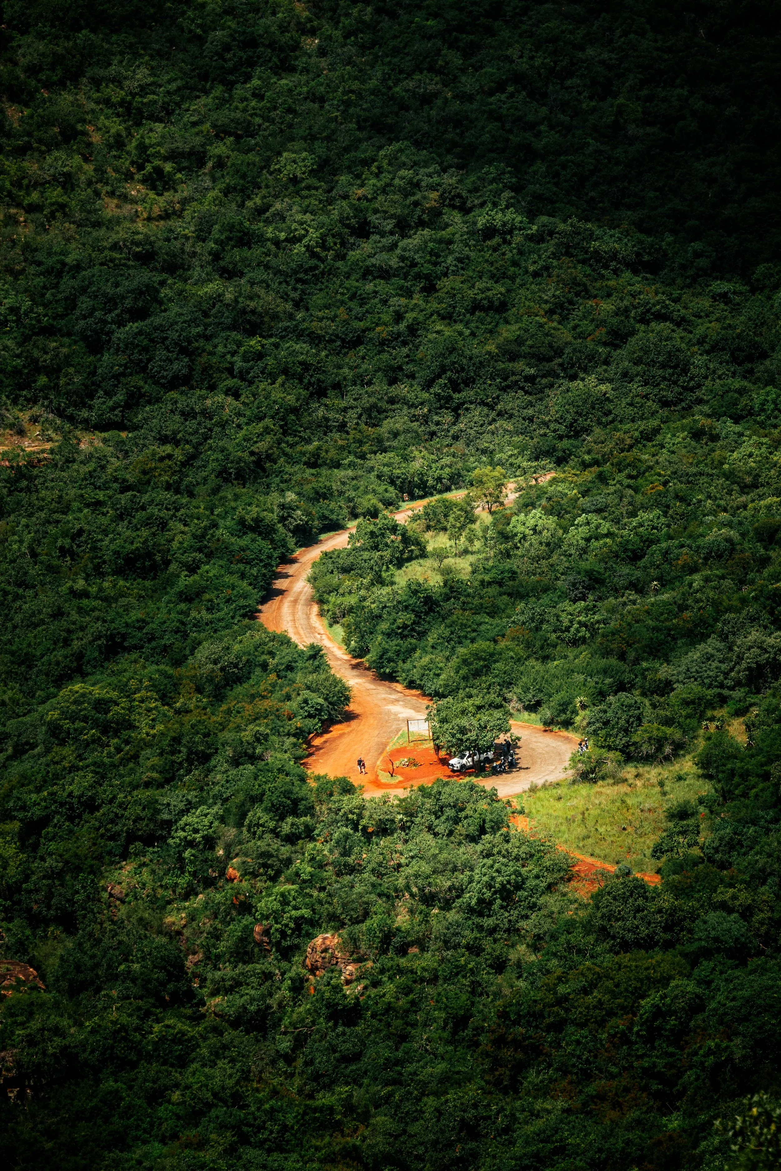 A winding dirt road cutting through a dense green forest with a small parking area and vehicles at the bottom of the image.