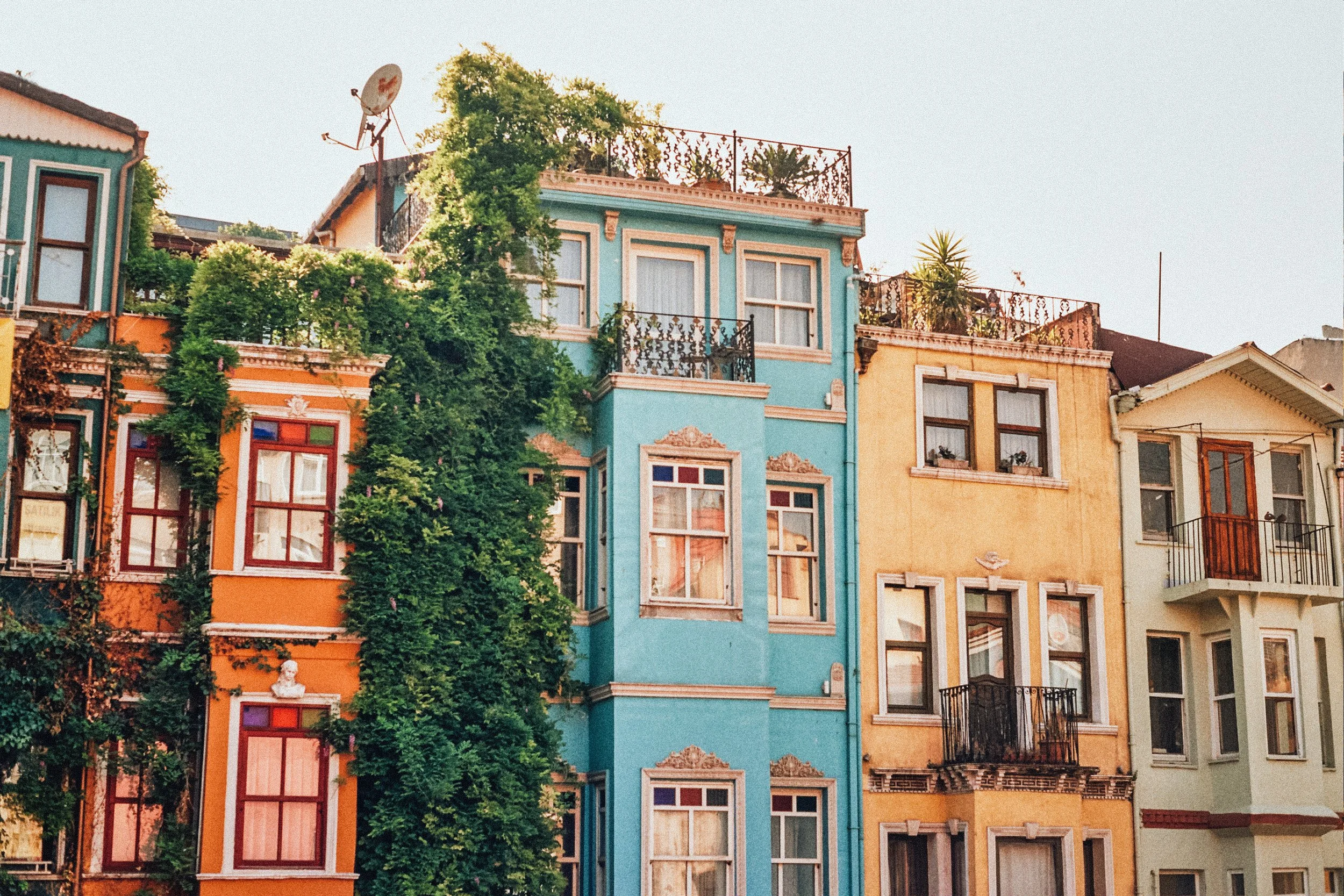 Colorful row of buildings with various window styles and greenery on balconies and rooftops, under a clear sky.