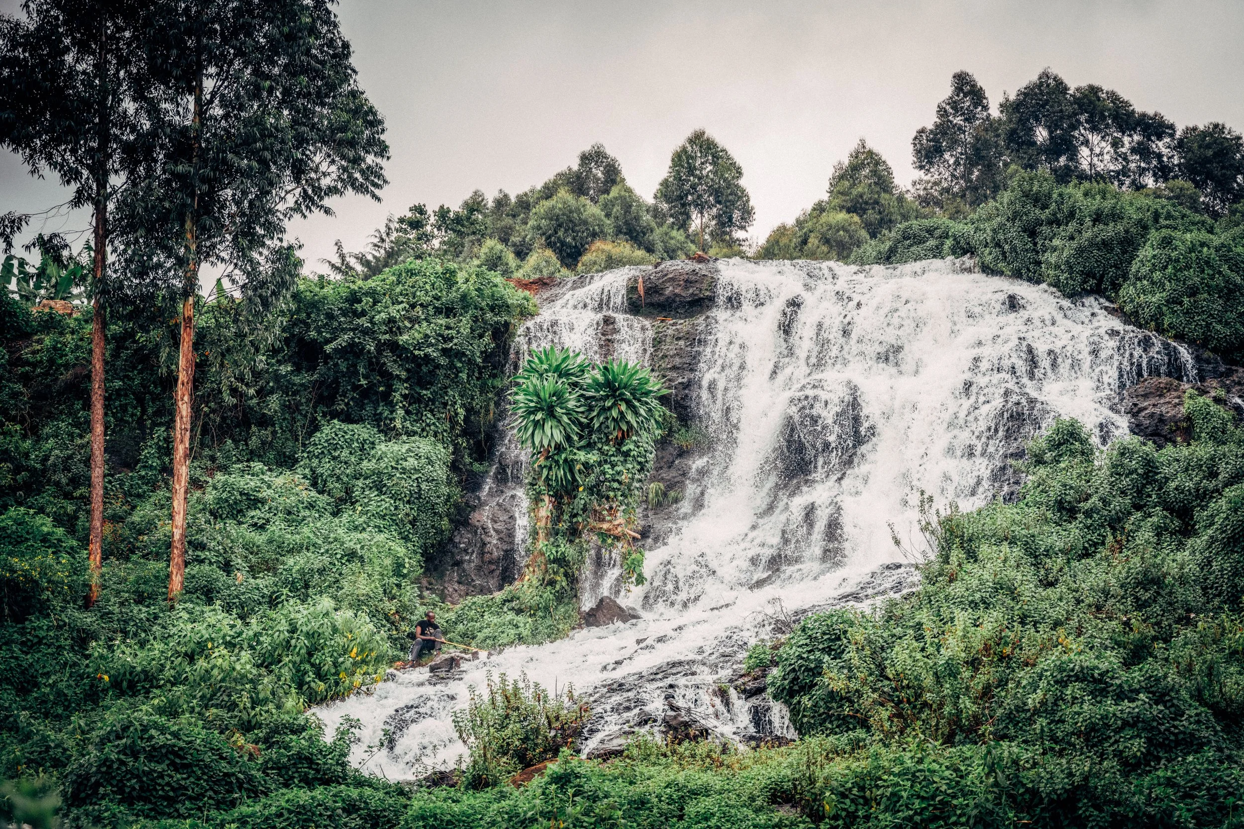 A lush green landscape with tall trees surrounding a waterfall cascading over rocks. A person is sitting on a rock near the water, fishing.