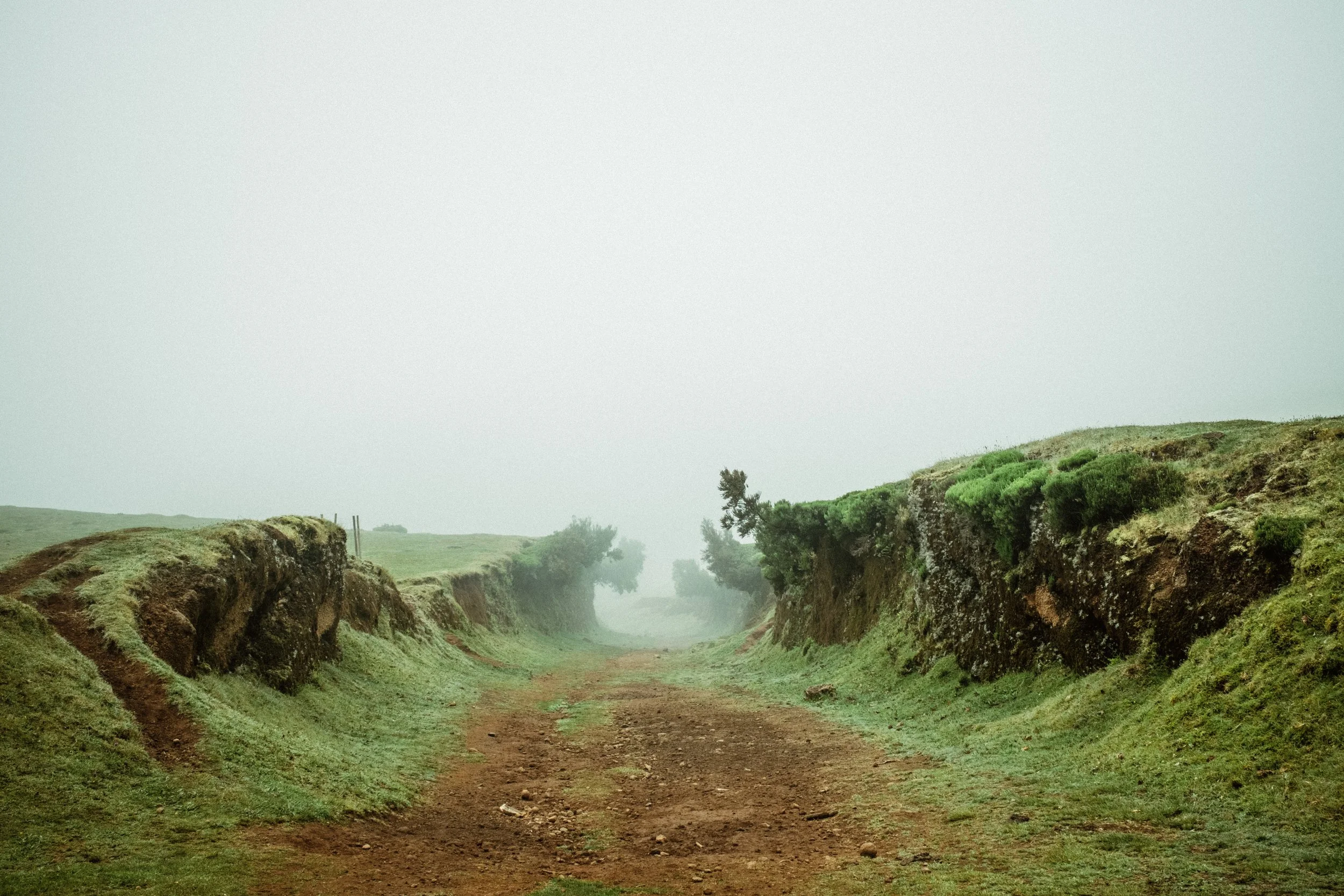 A dirt path running through green grassy hills with erosion cliffs on either side, leading into a foggy landscape with sparse trees in the distance.