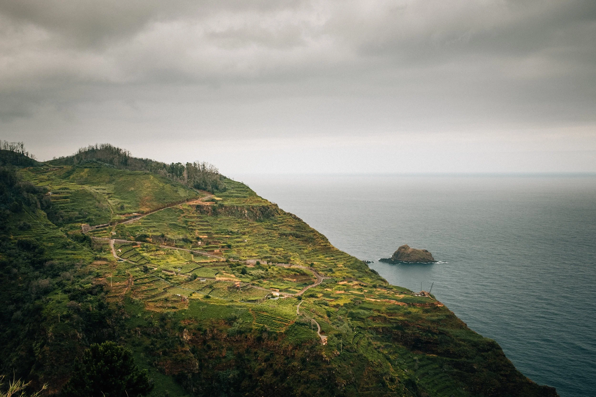 A scenic view of a hillside with terraced green fields overlooking the ocean under a cloudy sky.