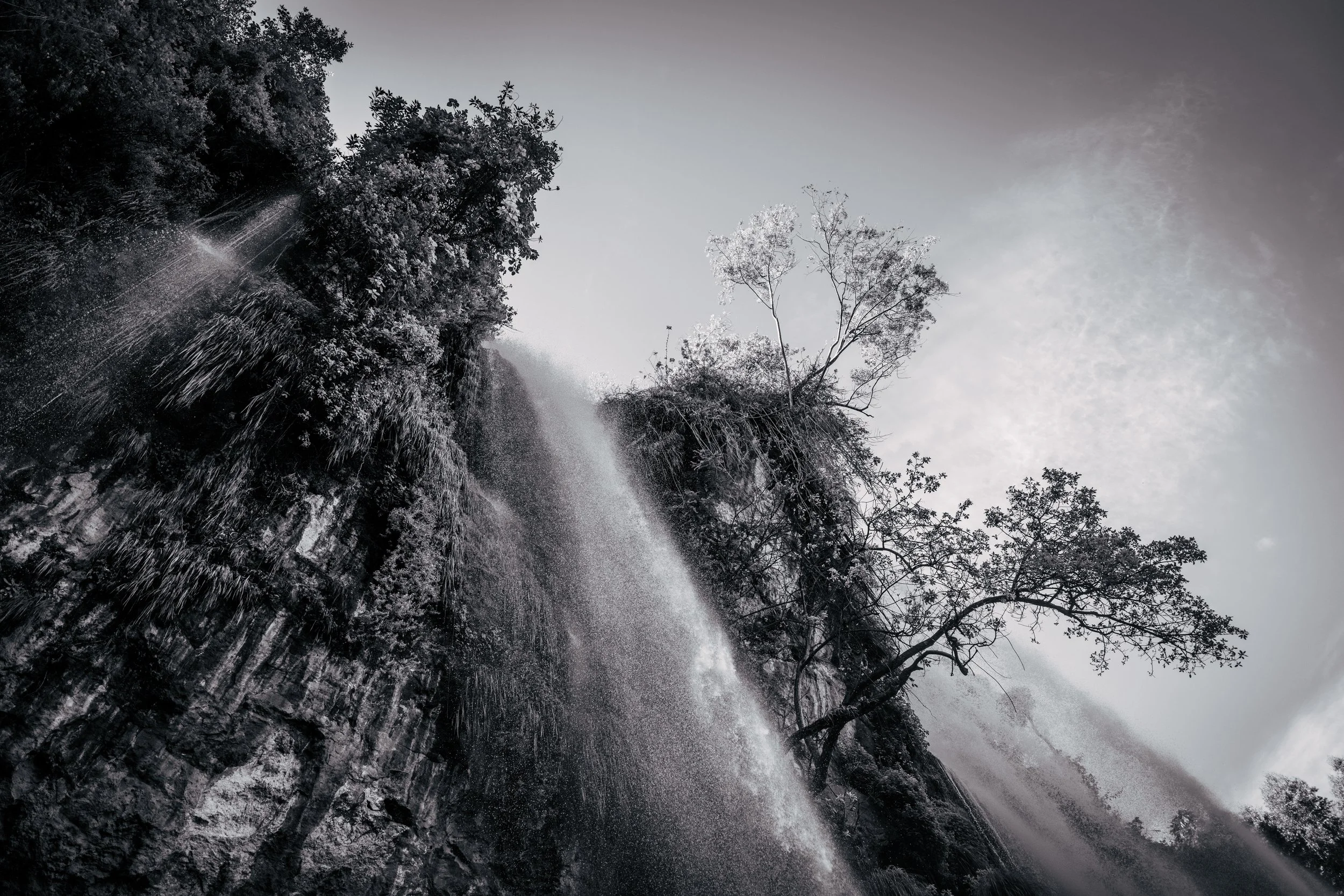 Black and white photo of trees growing on rocky terrain with a waterfall cascading over the rocks, and a cloudy sky in the background.
