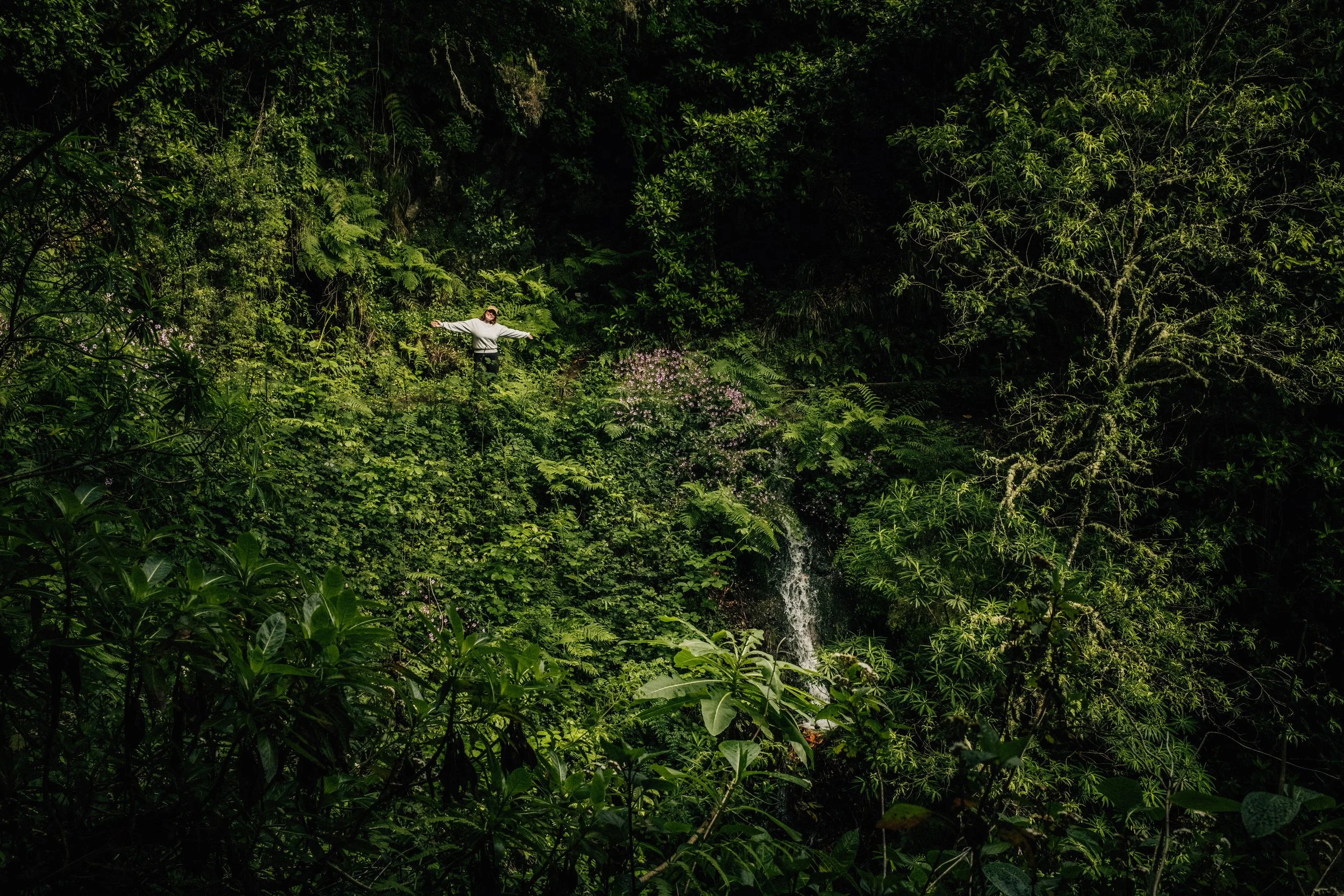 Person standing with arms outstretched in a lush green jungle surrounded by dense foliage and small pink flowers.