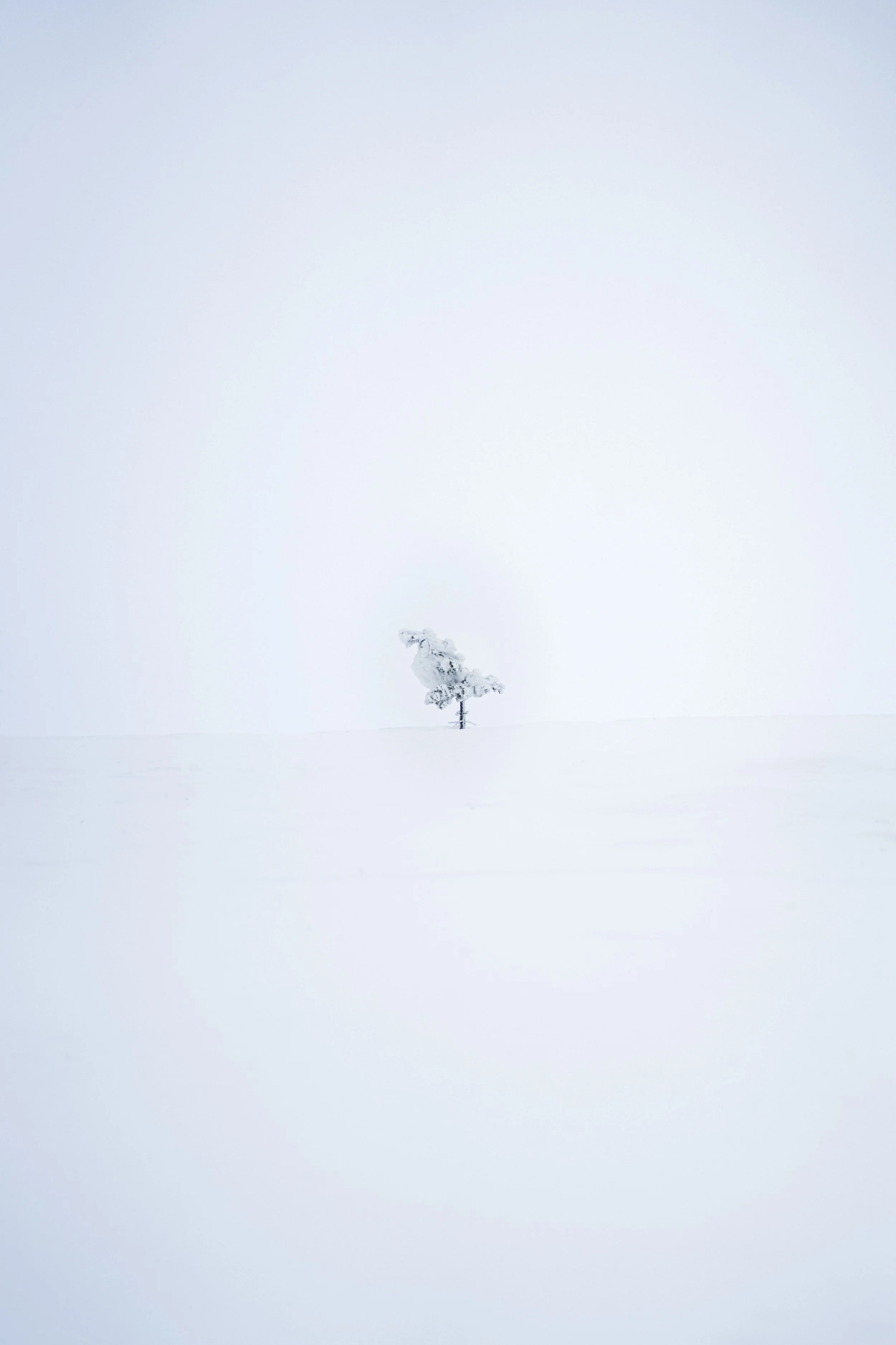 DSC07749-bewerkt.jpg