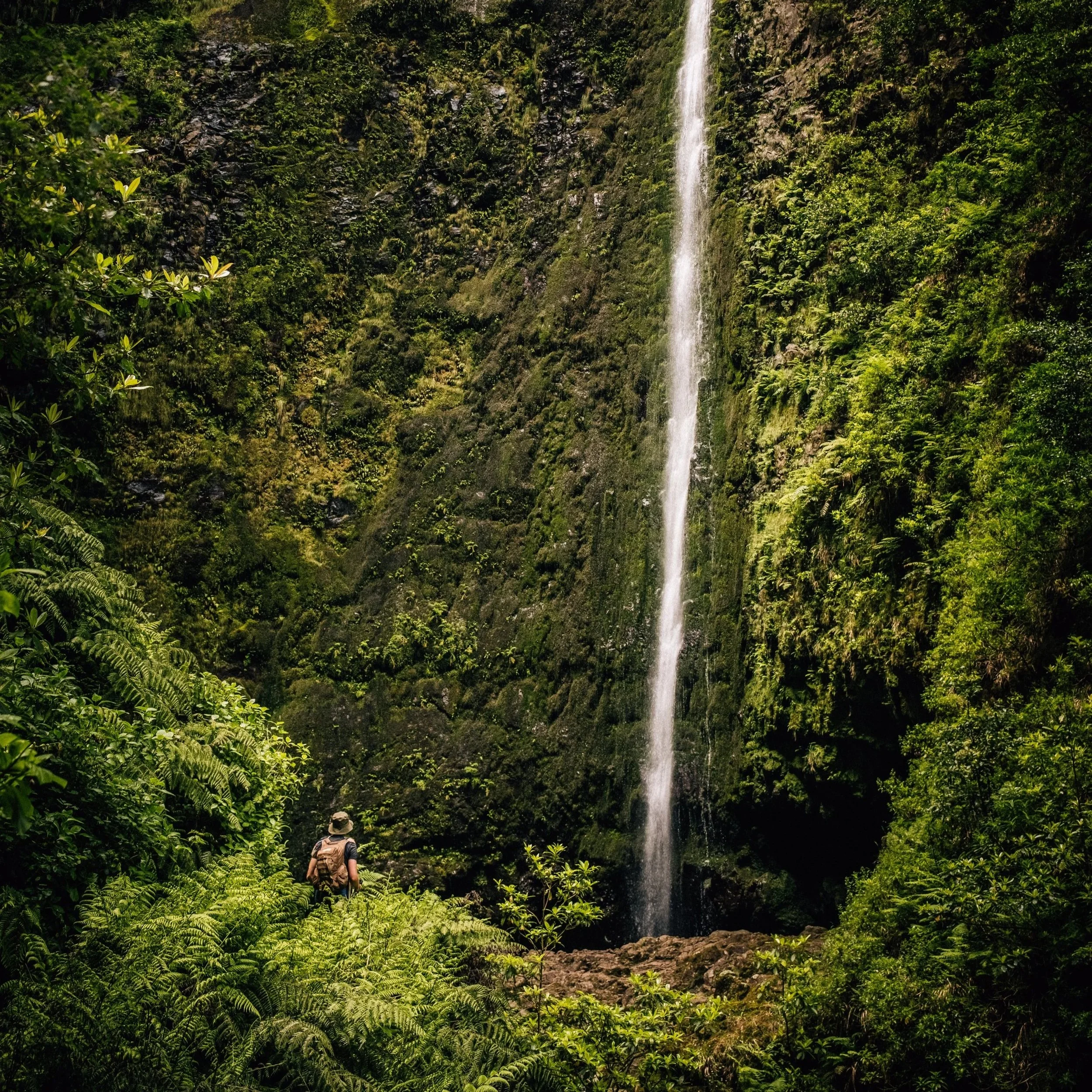 madeira
