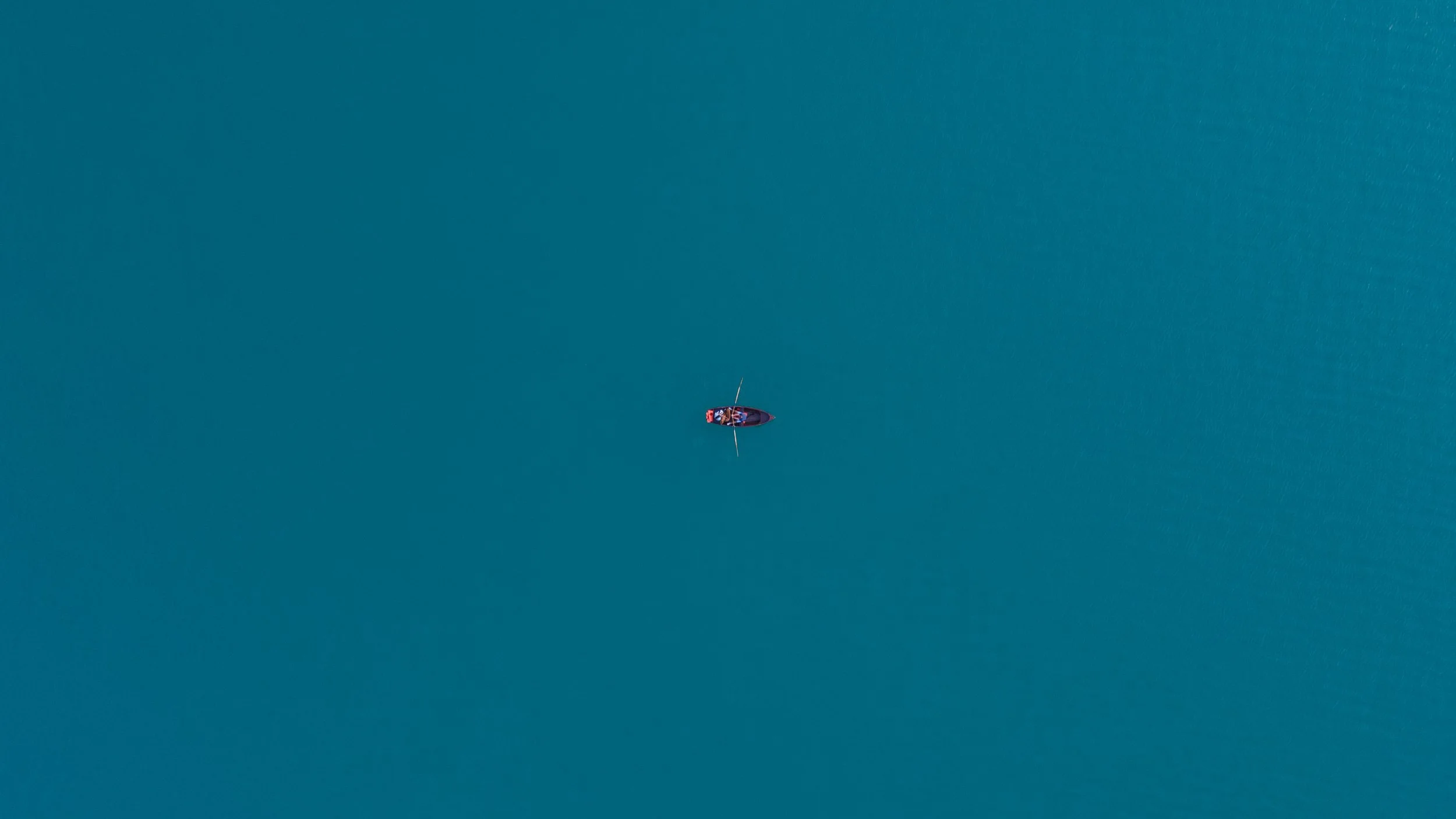 DJI_0459.jpg