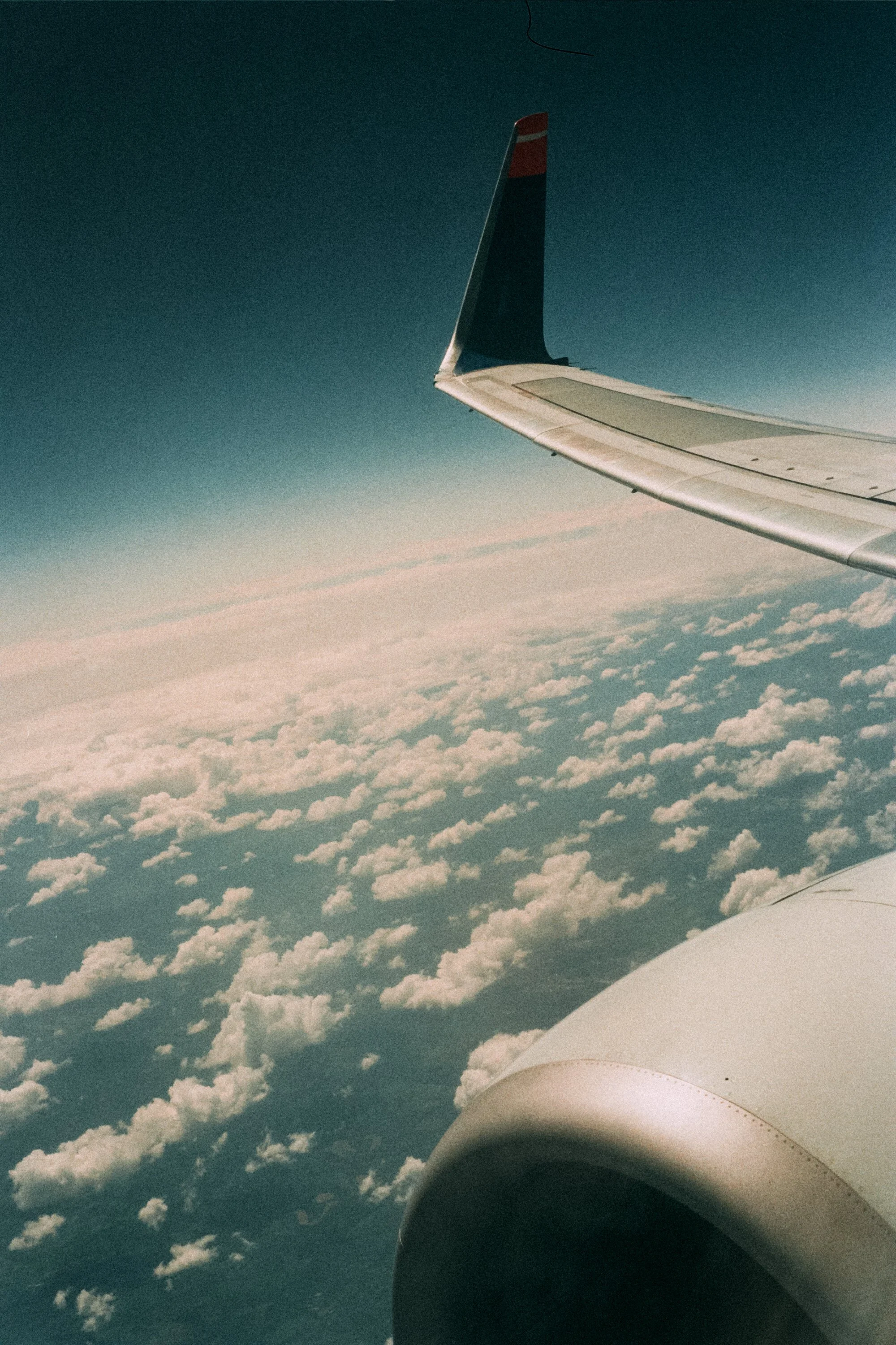 __3_0383.jpg
