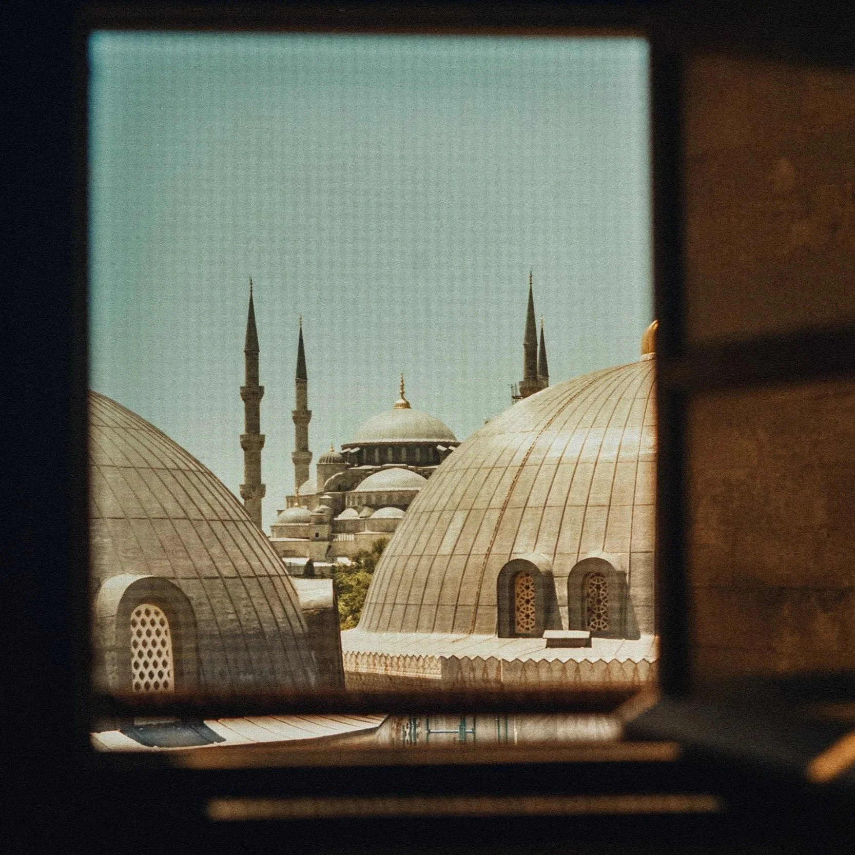 turkey