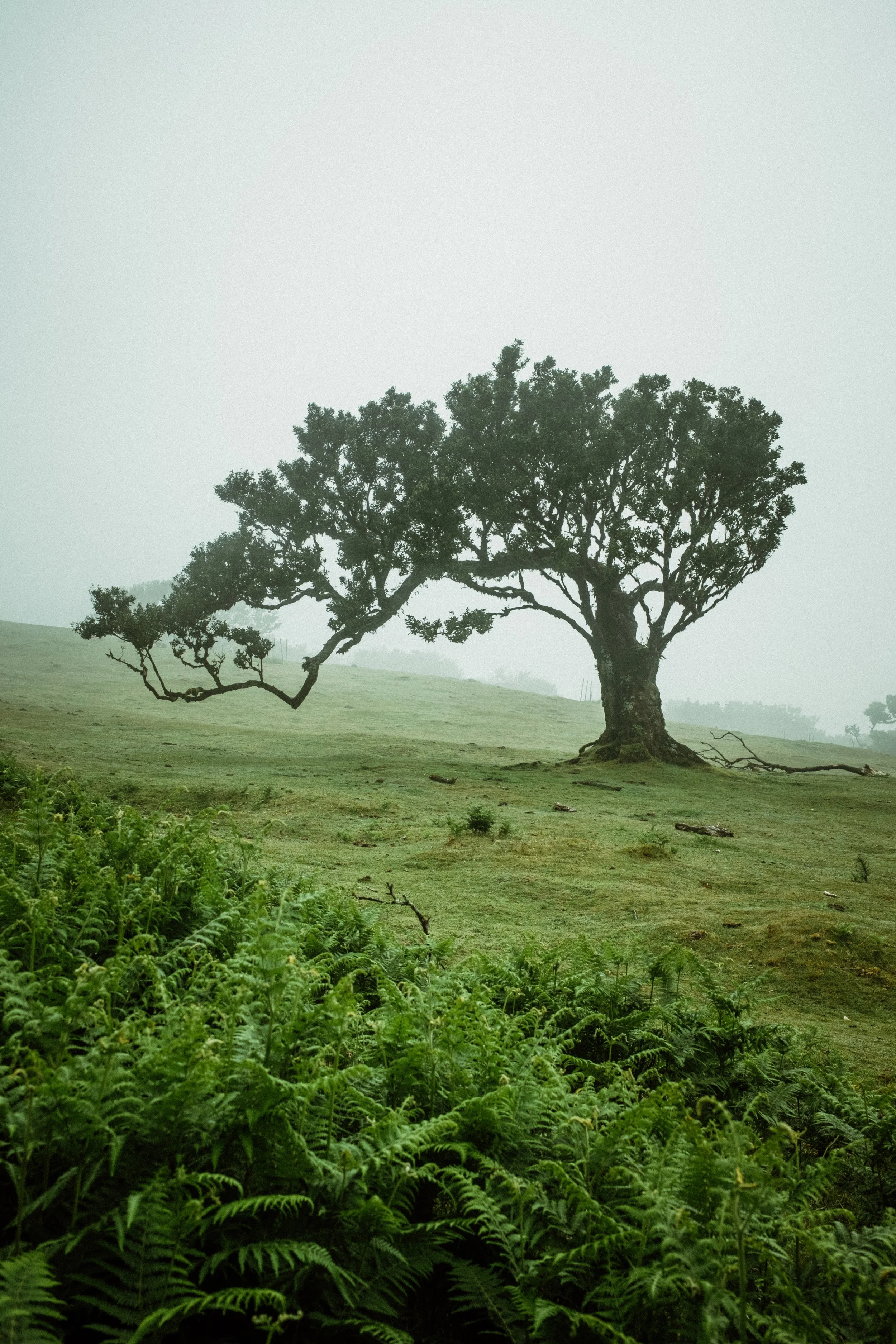 DSCF1553.jpg