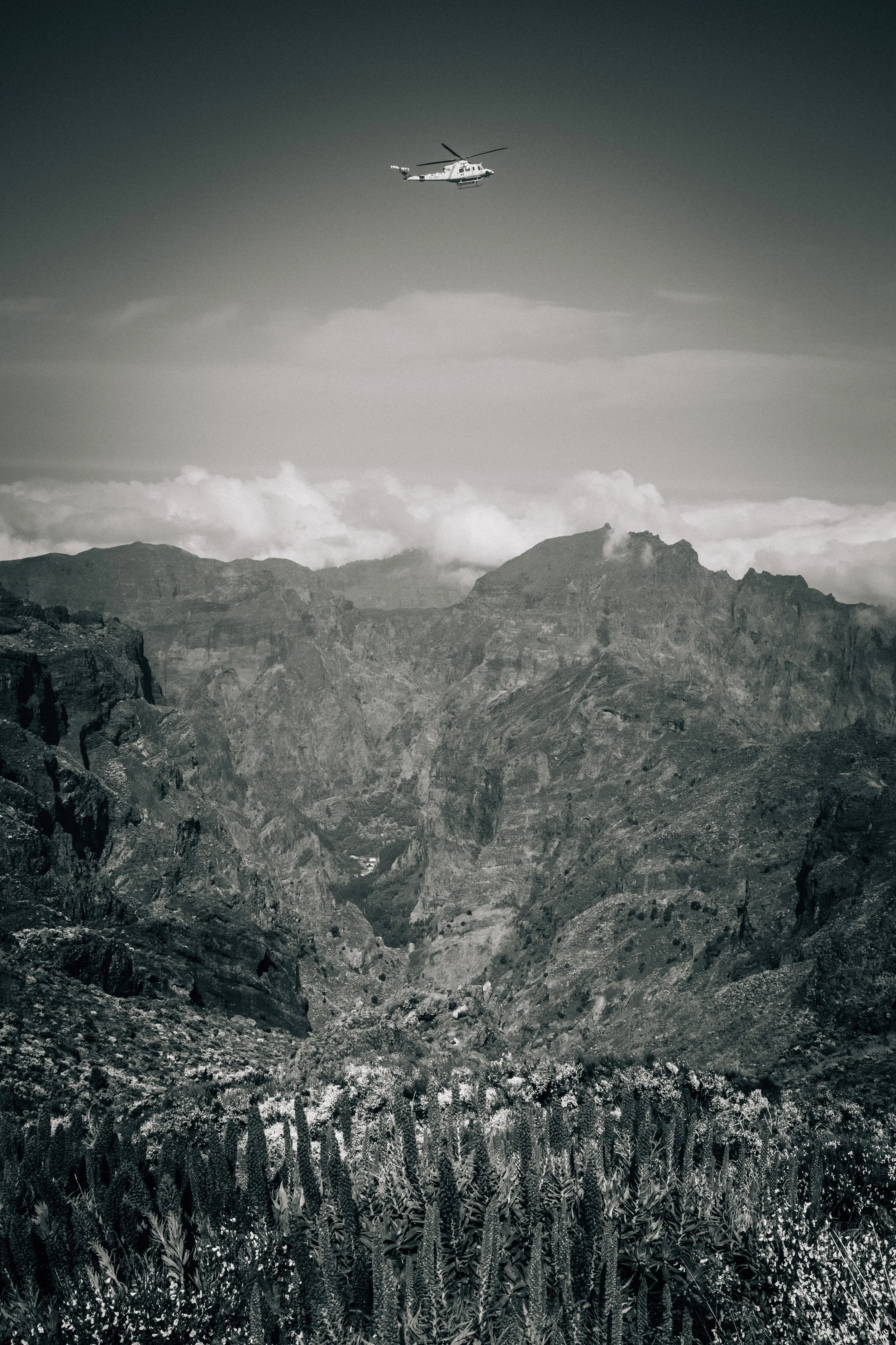 DSCF1159.jpg