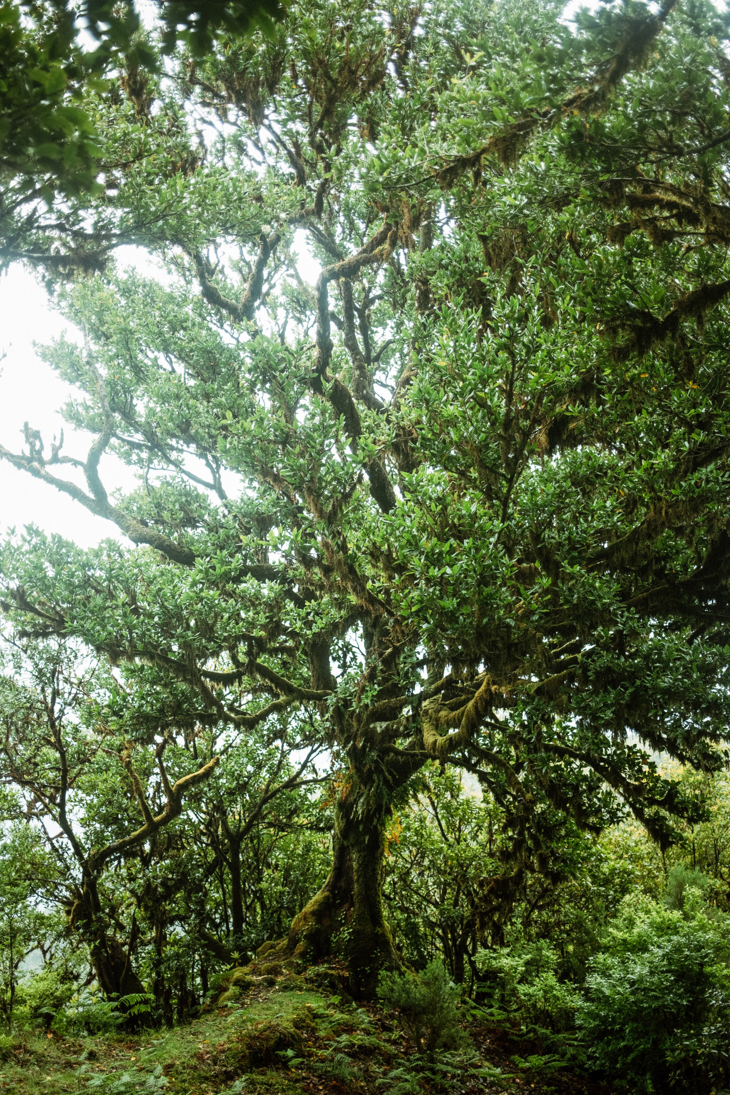 DSCF1507.jpg