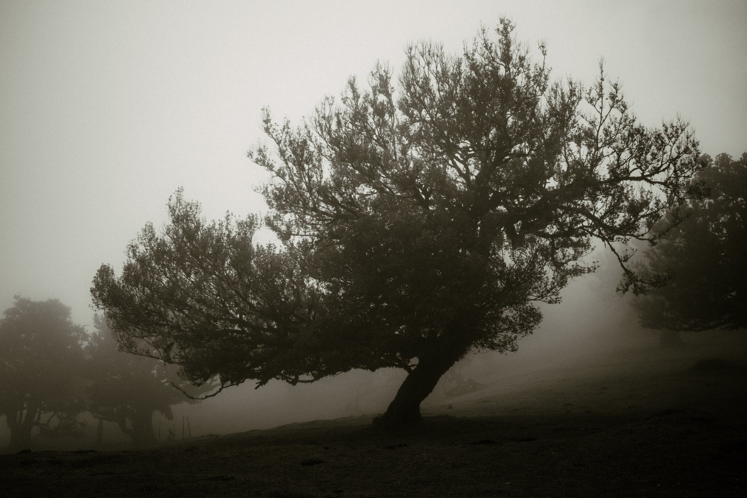 DSCF1537.jpg