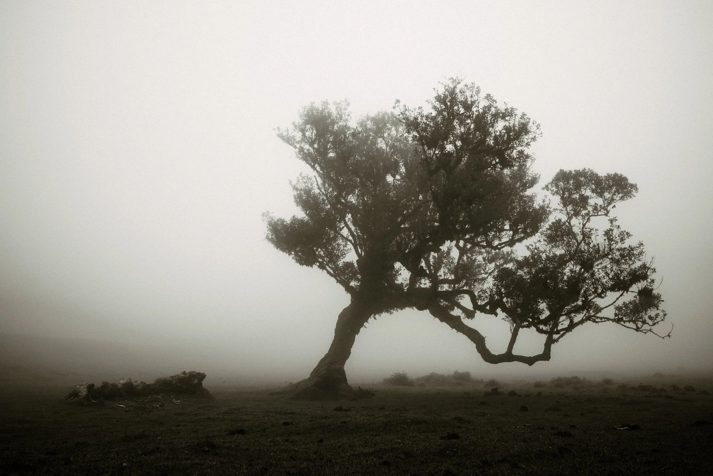 DSCF1626-2.jpg