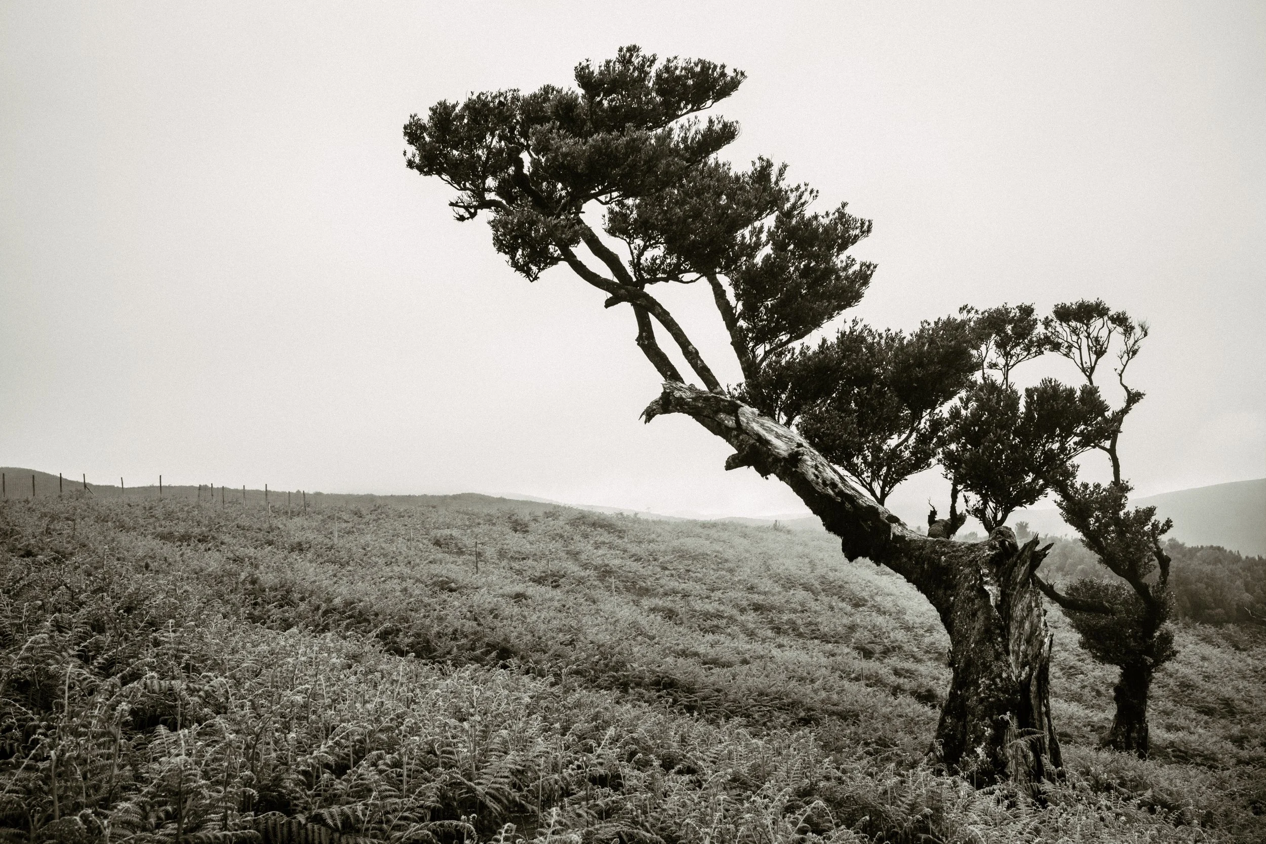DSCF1487-2.jpg