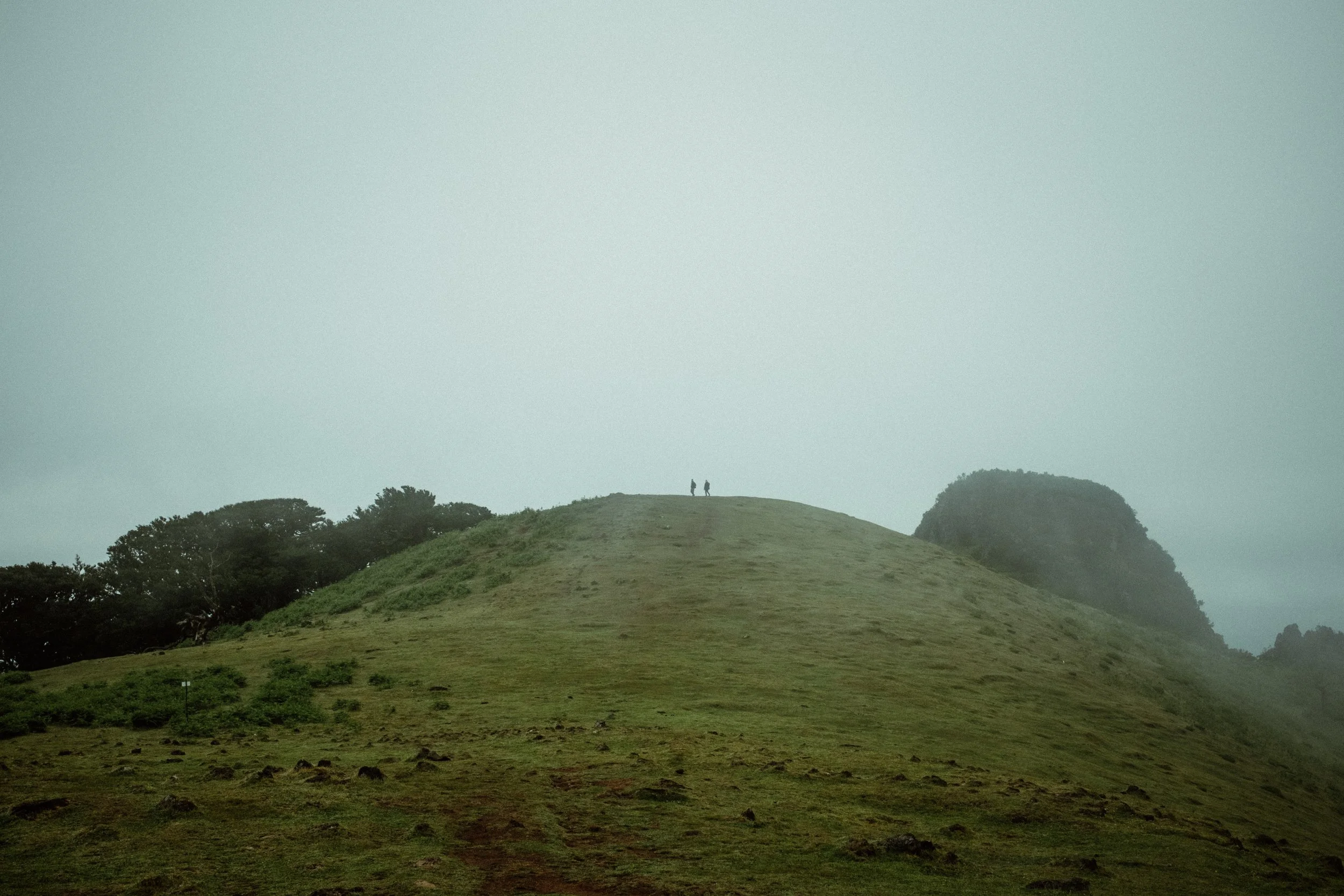 DSCF1490.jpg