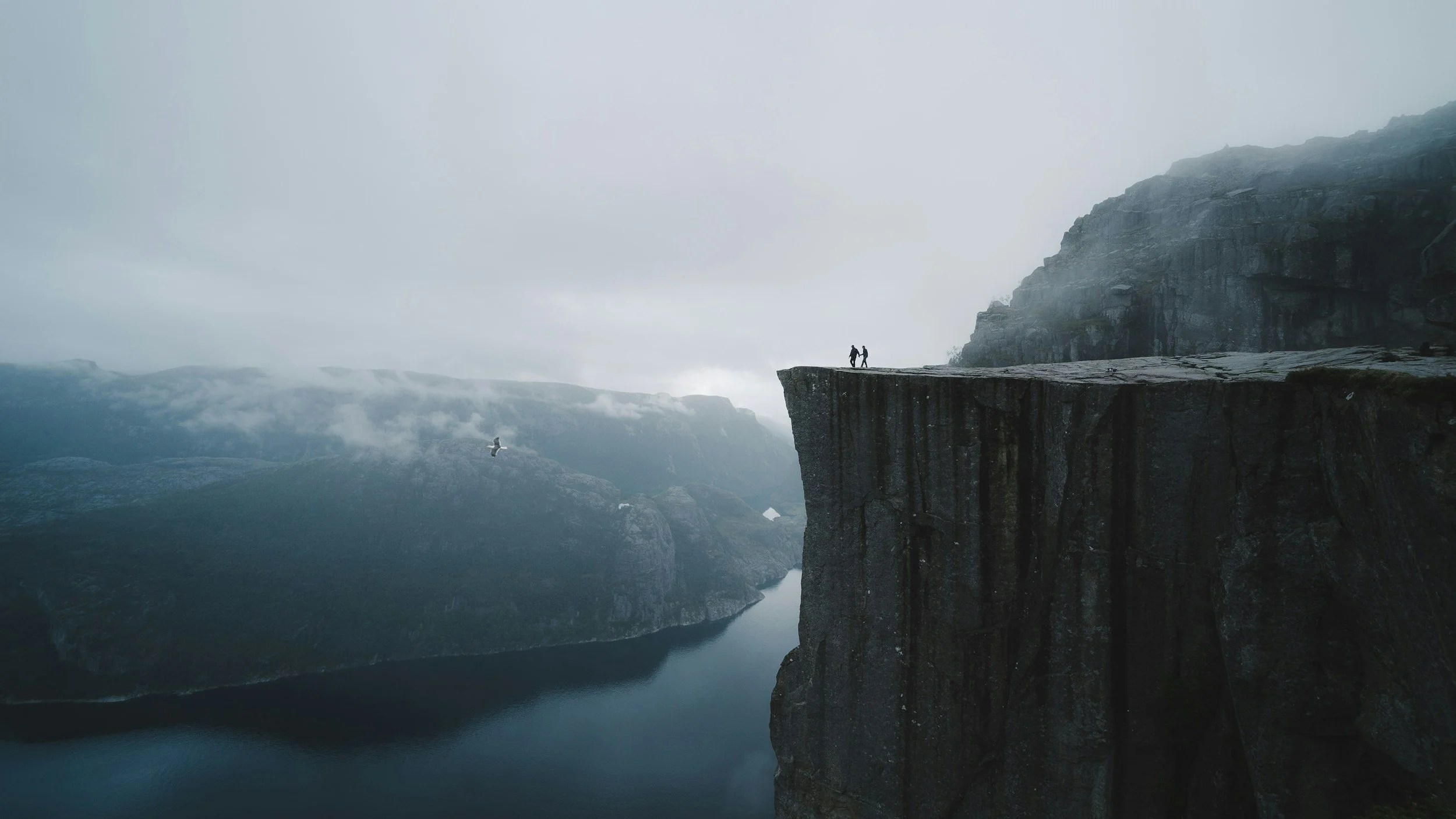 Natur og bevegelse som symboliserer helse, balanse og livskvalitet.