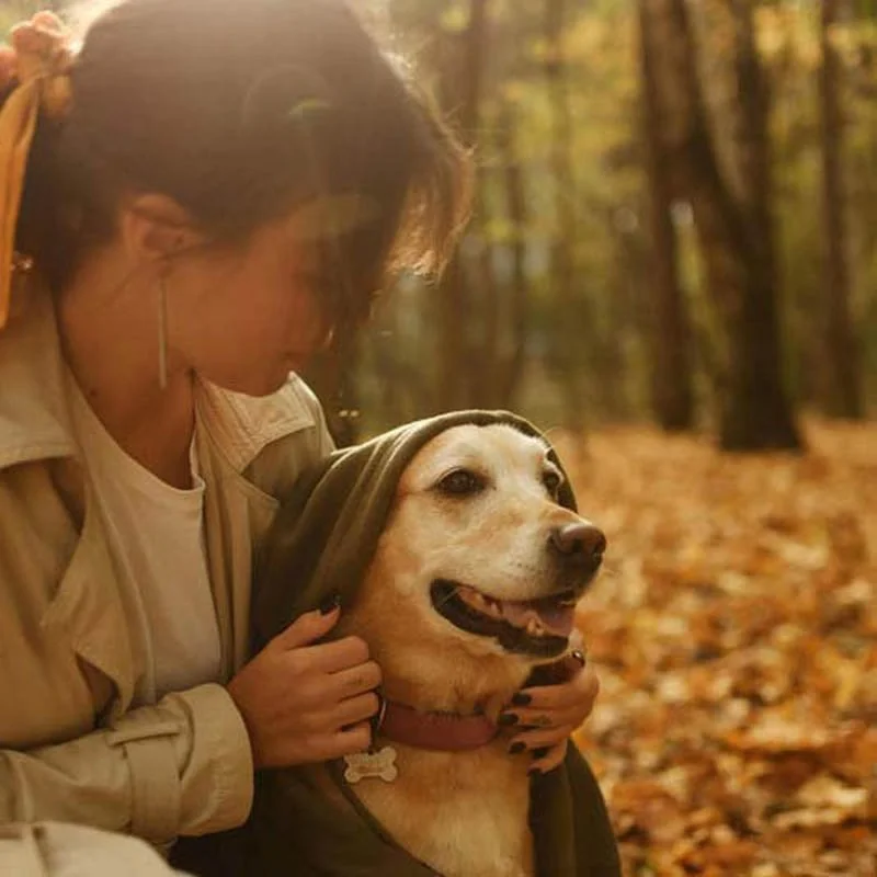 Why comforting your dog does NOT reinforce his insecurities