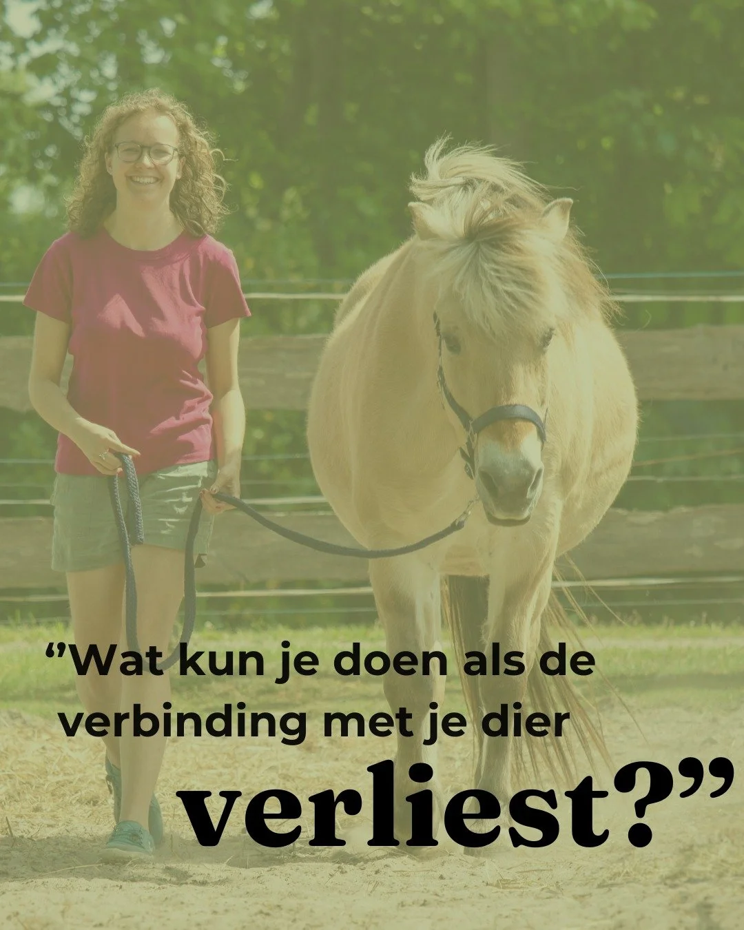 Wat kun je doen als je hond als een kip zonder kop op een andere hond af wil duiken en totaal niet meer doorheeft dat jij bestaat? En wat kun je doen als je paard opeens kan ontploffen? 

Op deze vraag krijg je een helder antwoord in de nieuwste podc