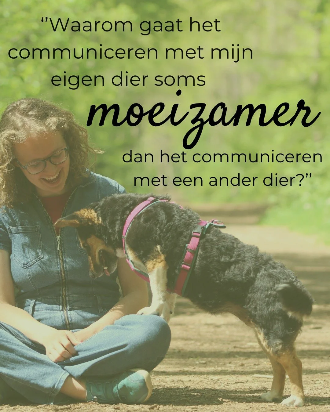 In mijn basiscursus leer ik je hoe je zelf met je eigen dier (en andere dieren) telepathisch kunt communiceren. Vaak merken cursisten dat het communiceren met hun eigen dier wat moeizamer gaat dan het communiceren met andere dieren. 

Dat komt doorda