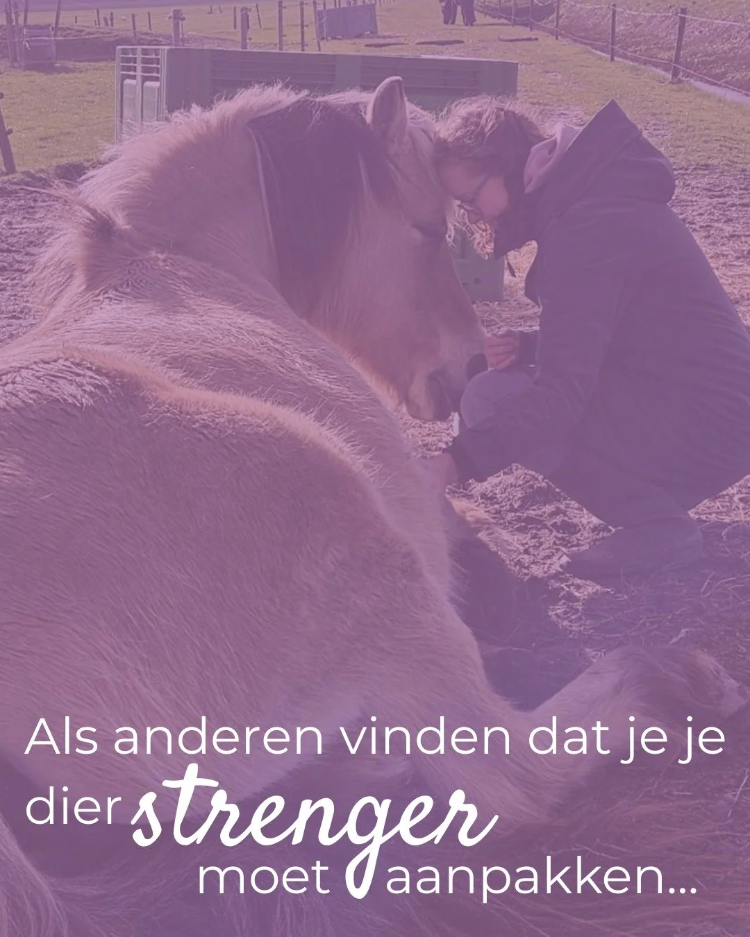 Alleen het woord ''aanpakken'' al... Je hoeft je dier helemaal niet streng aan te pakken! 🙈 

Hoe vaak heb jij al (ongevraagd) advies gekregen over je dier? Advies waar je misschien niet eens op zat te wachten, maar wat je wel aan het twijfelen bren