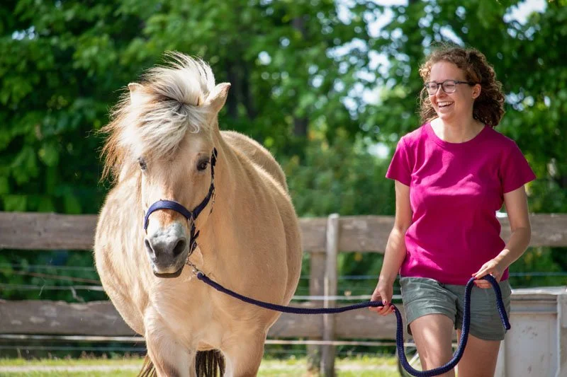 Meer verbinding met je dier? Leer het proces waarderen.